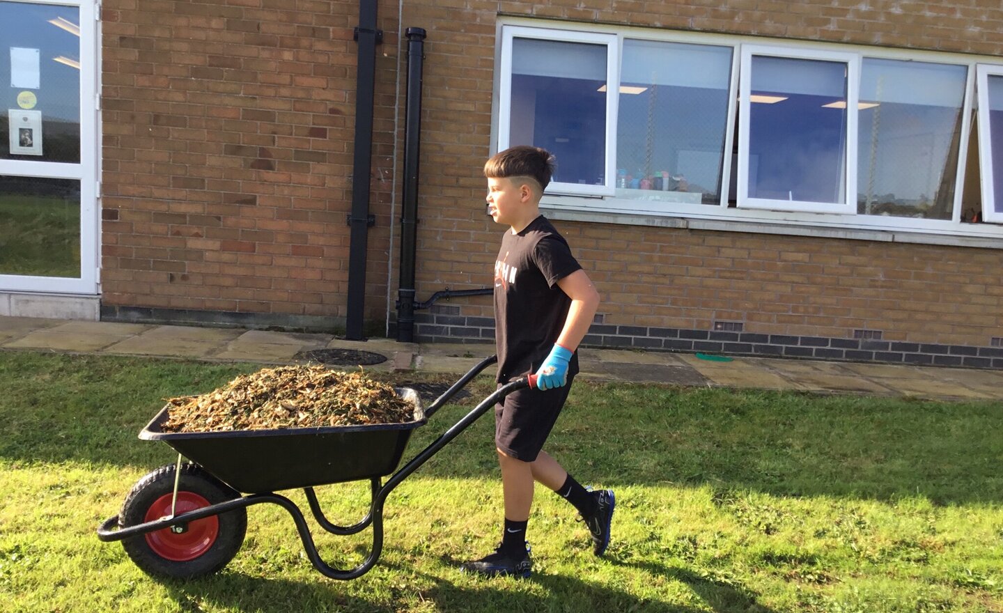 Image of Gardening In Year 5 