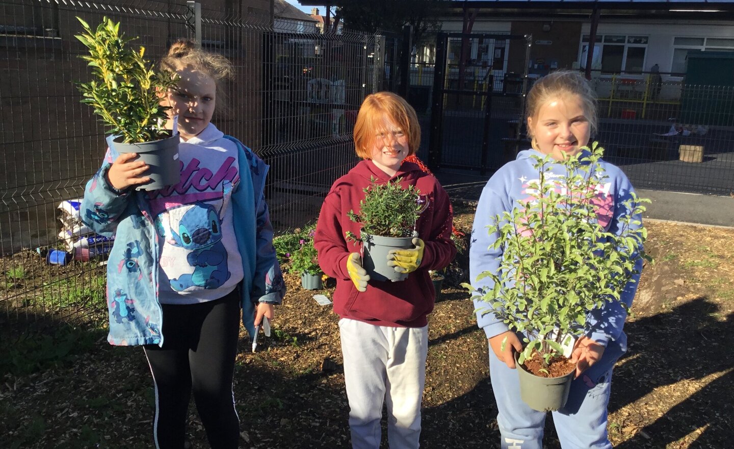 Image of Year 5 Garden Work