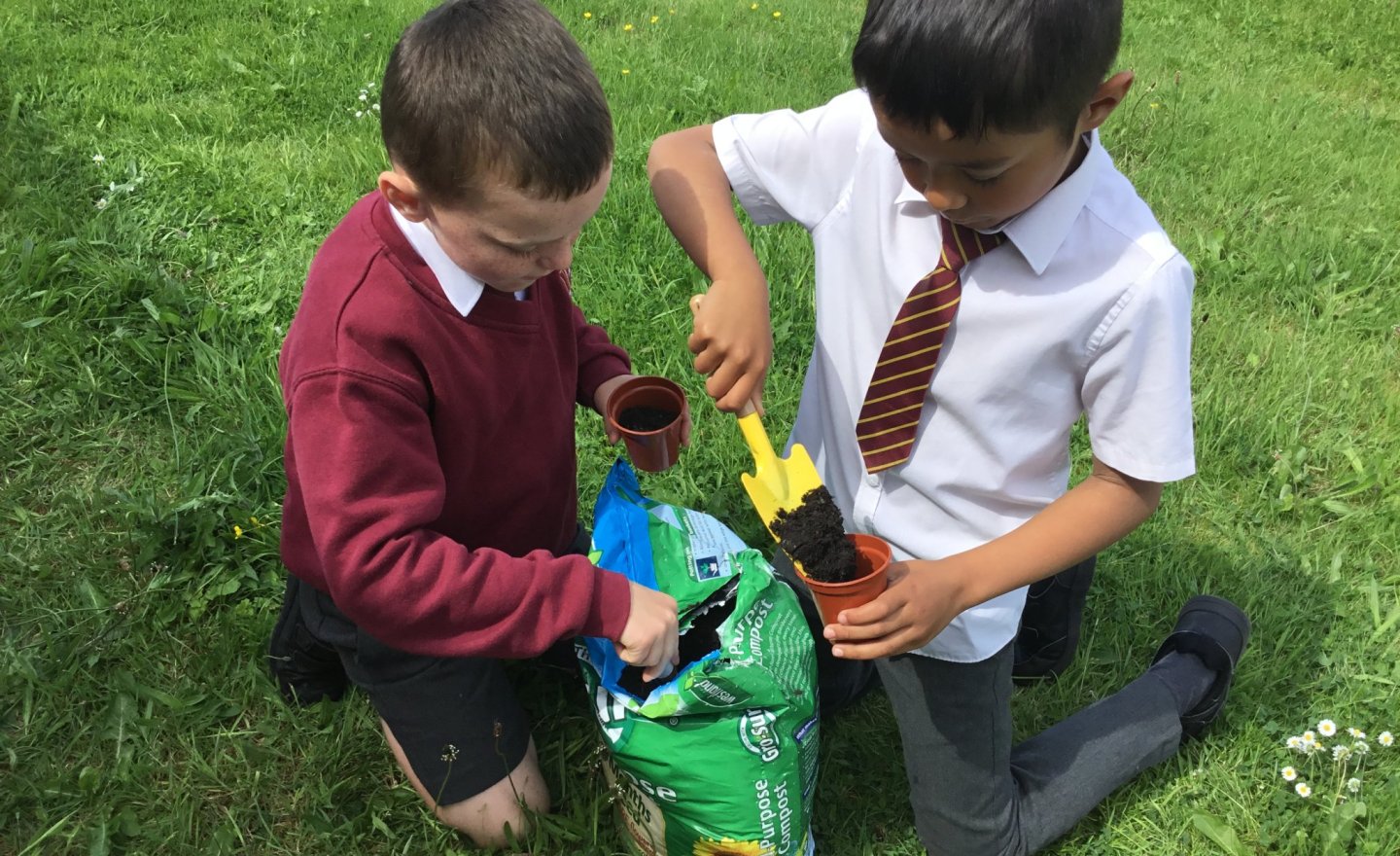 Image of Planting Seeds in Year 2 2026