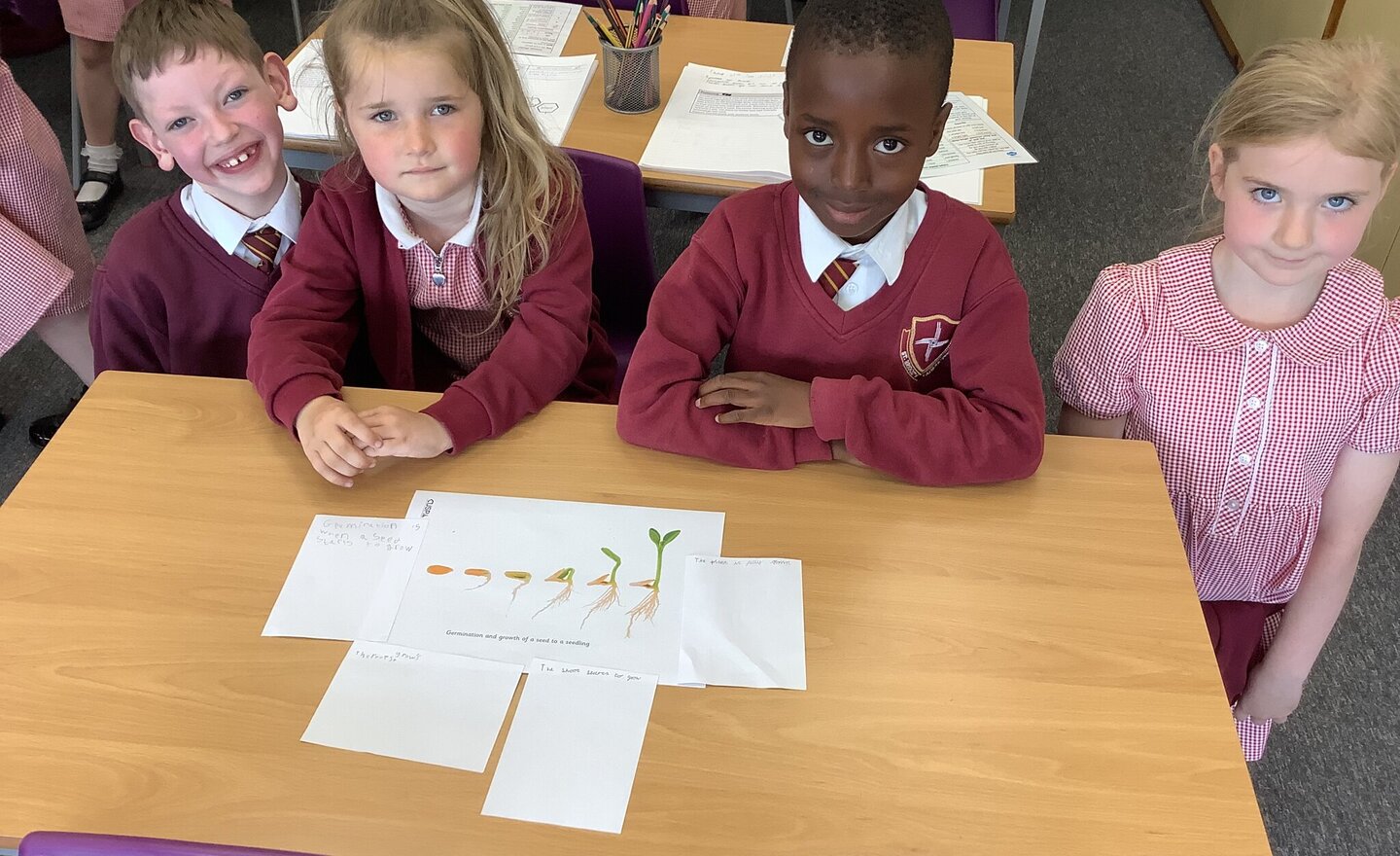 Image of Finding out about how seeds grow in Y2