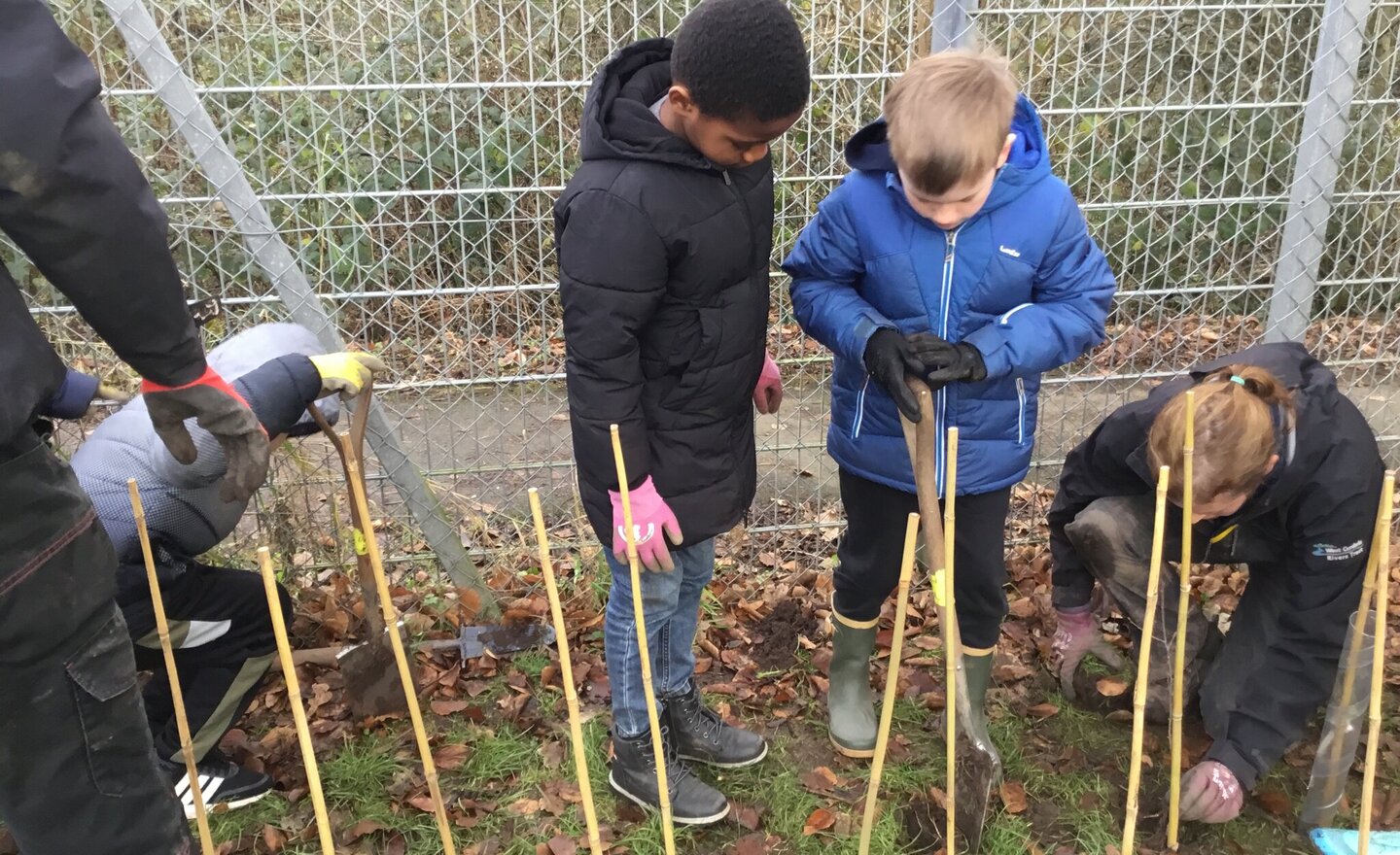 Image of Year 5 Tree Planting