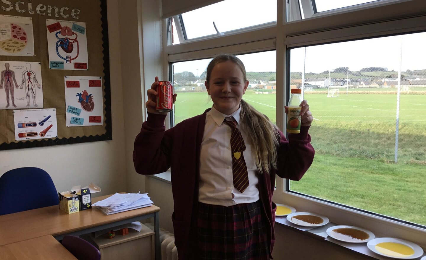 Image of Investigating Sugar