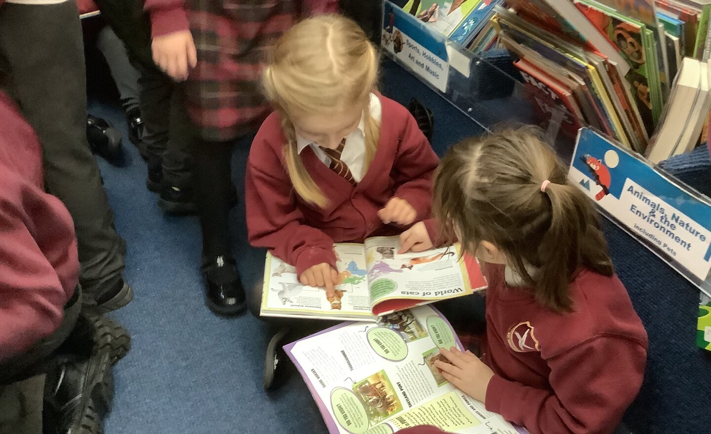 Image of Year 2 Library Bus Visit 2024