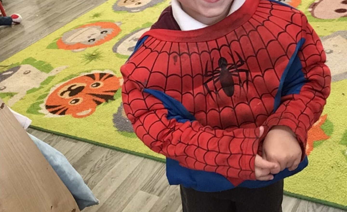 Image of Role play and dress up