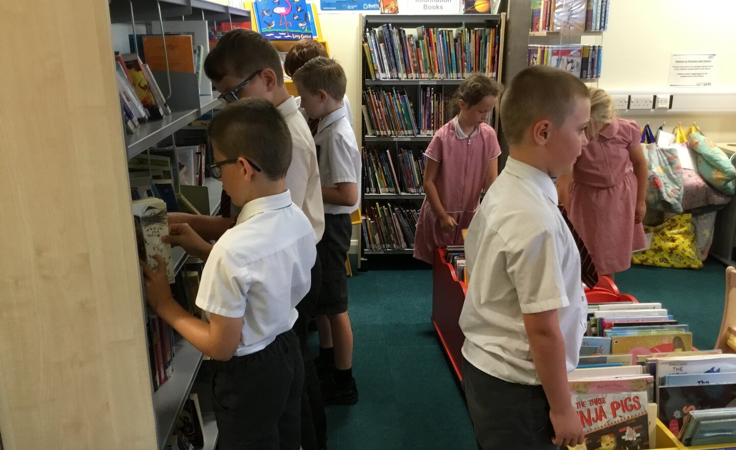 Image of Y4 Library Visit