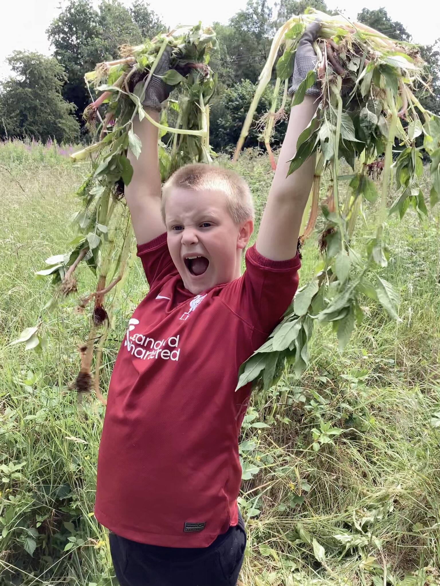 Image of Himalayan Balsam Pulling 