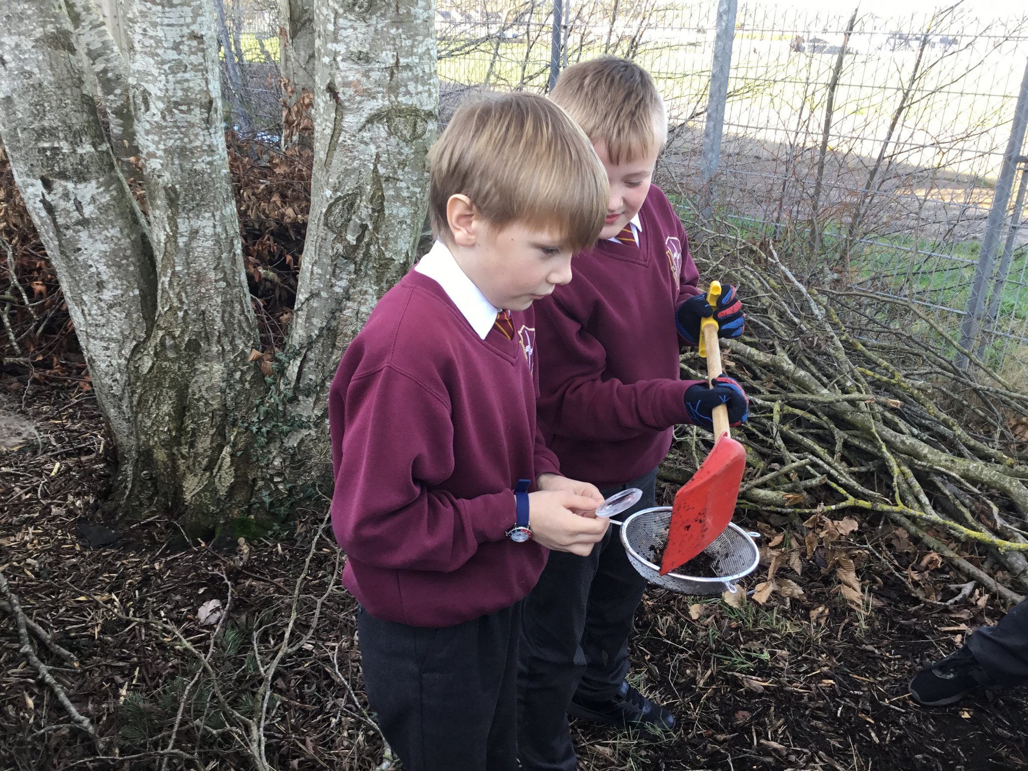 Image of Year3 explore the soil - Is it just dirt?