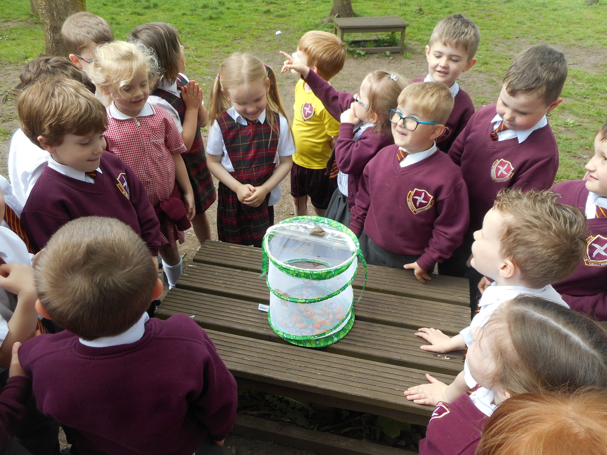 Image of Butterfly release