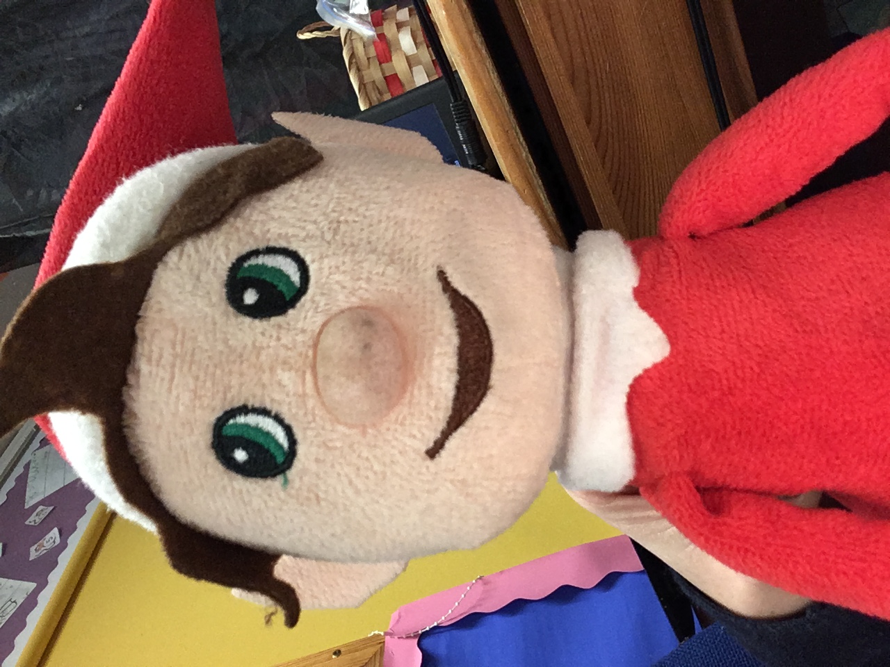 Image of Elfie Selfie