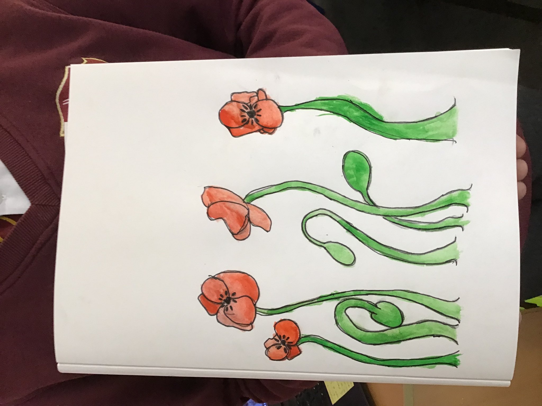 Image of Y6 Remembrance Poppy Watercolours 