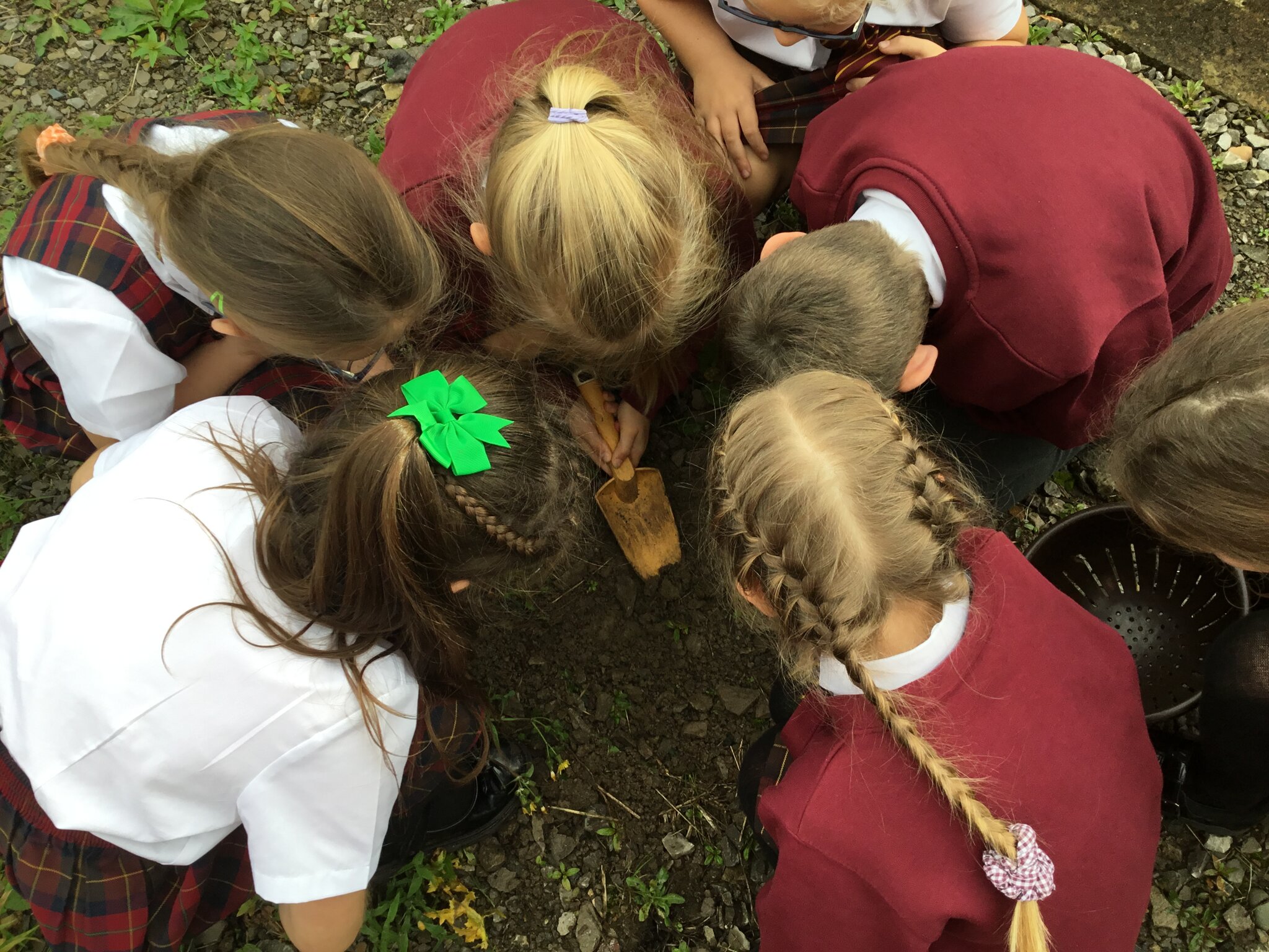 Image of Year 3 wanted to know, Is soil just dirt?