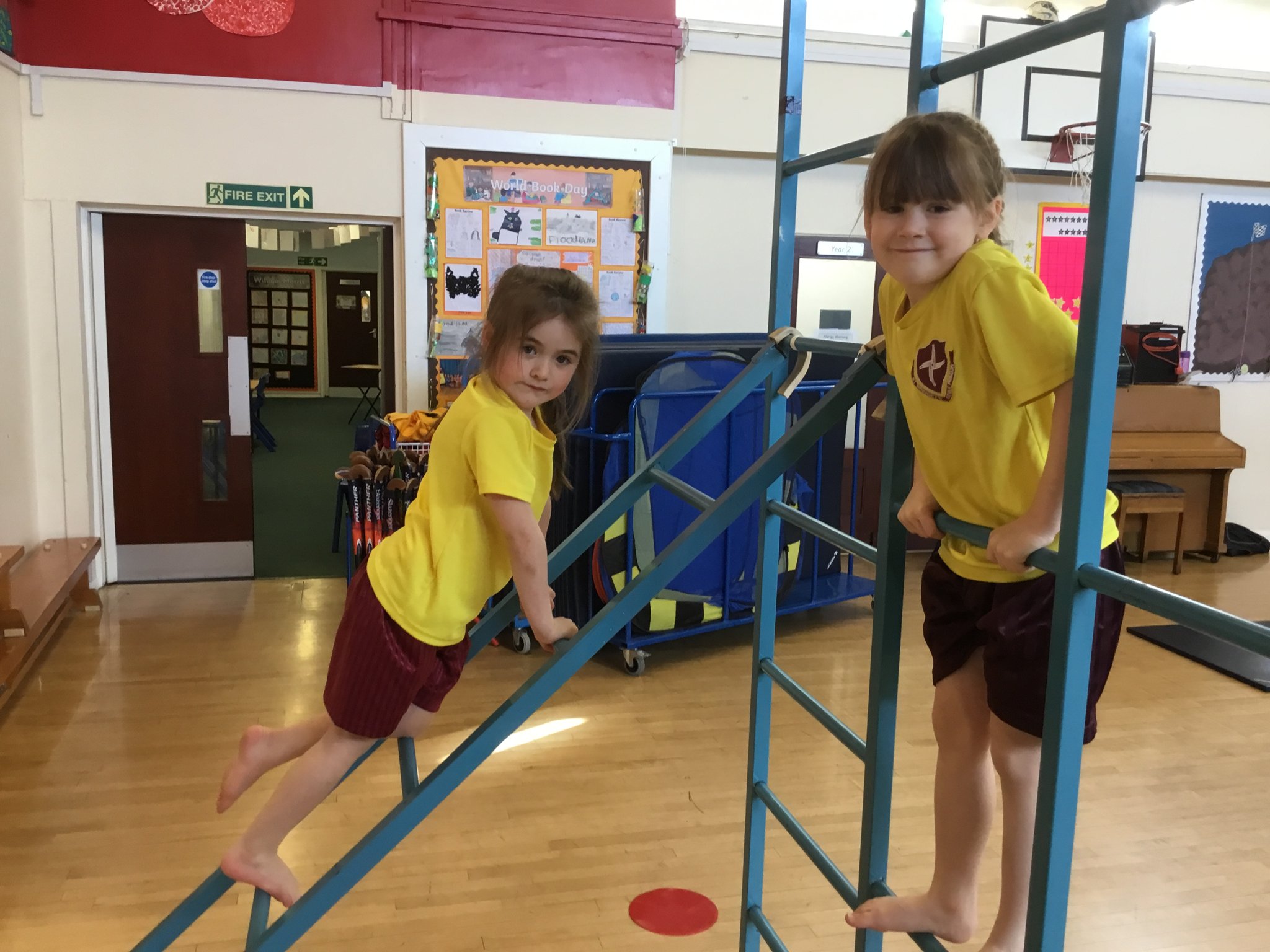 Image of Budding gymnasts