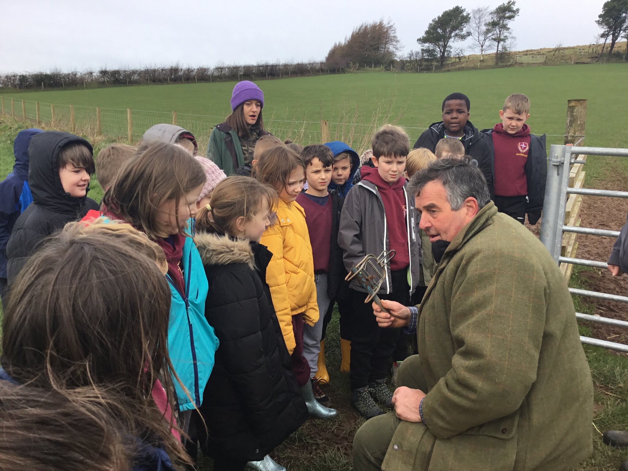 Image of Strudda Bank Farm Year 4 