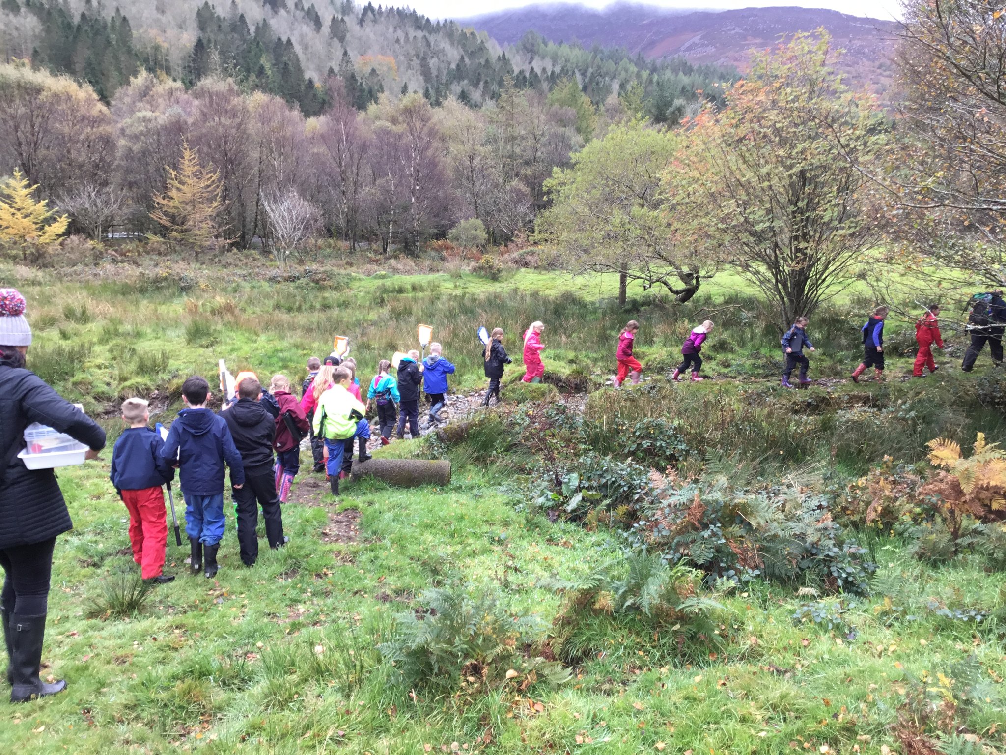 Image of Y4 Residential Gillerthwaite