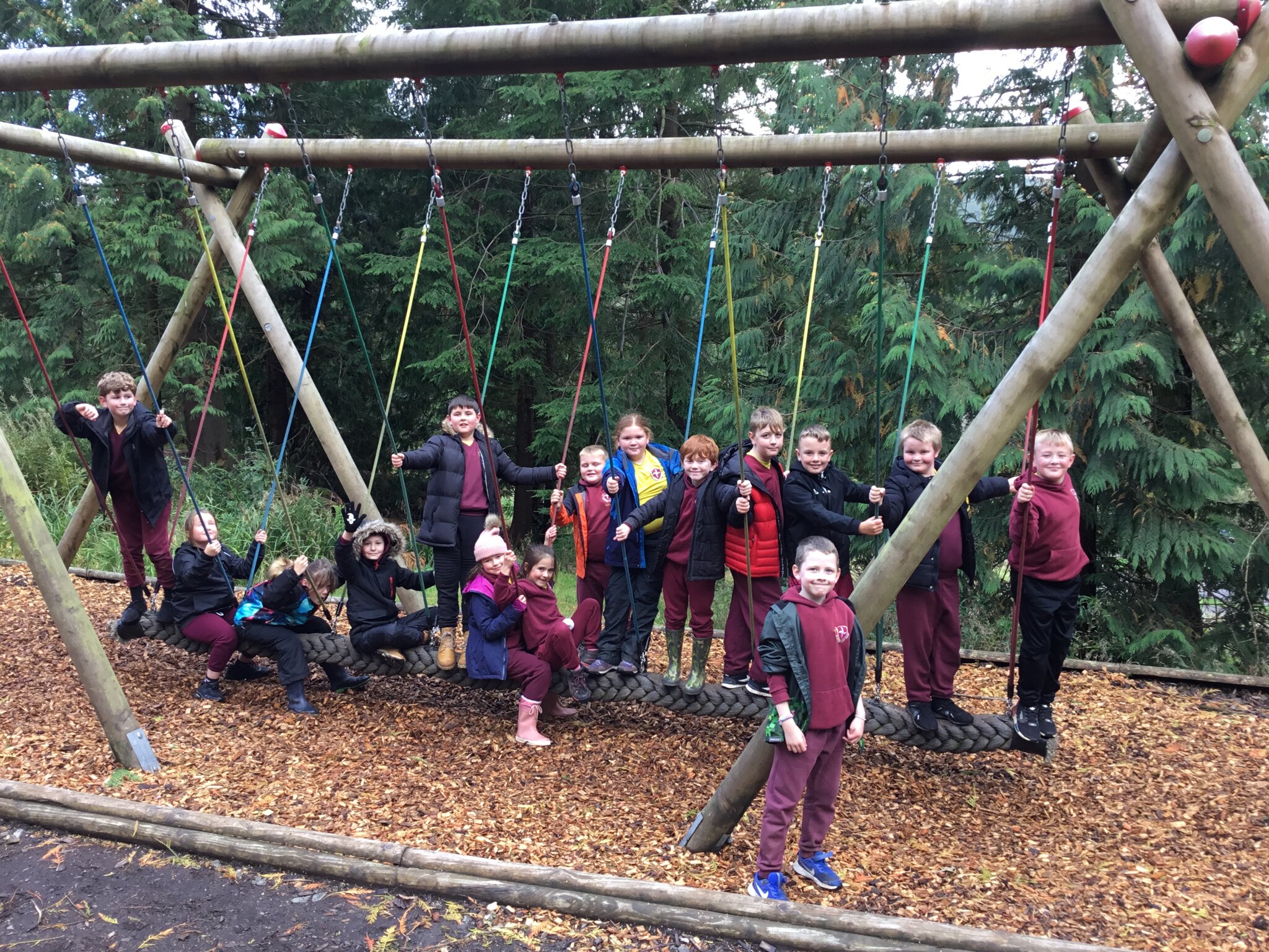 Image of Active Fun at Whinlatter Forest 