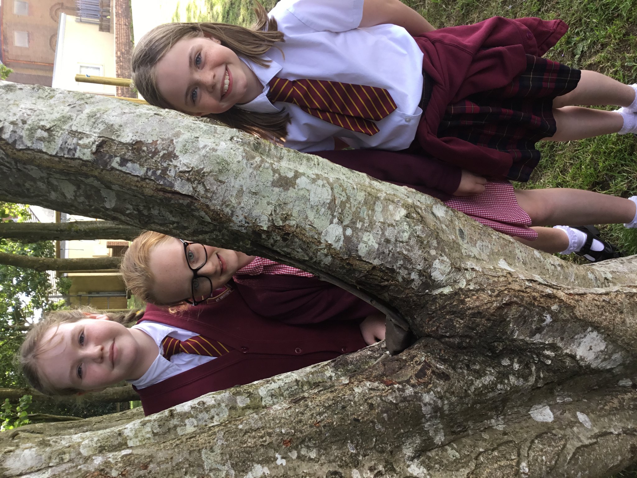 Image of Year 5 Forest School