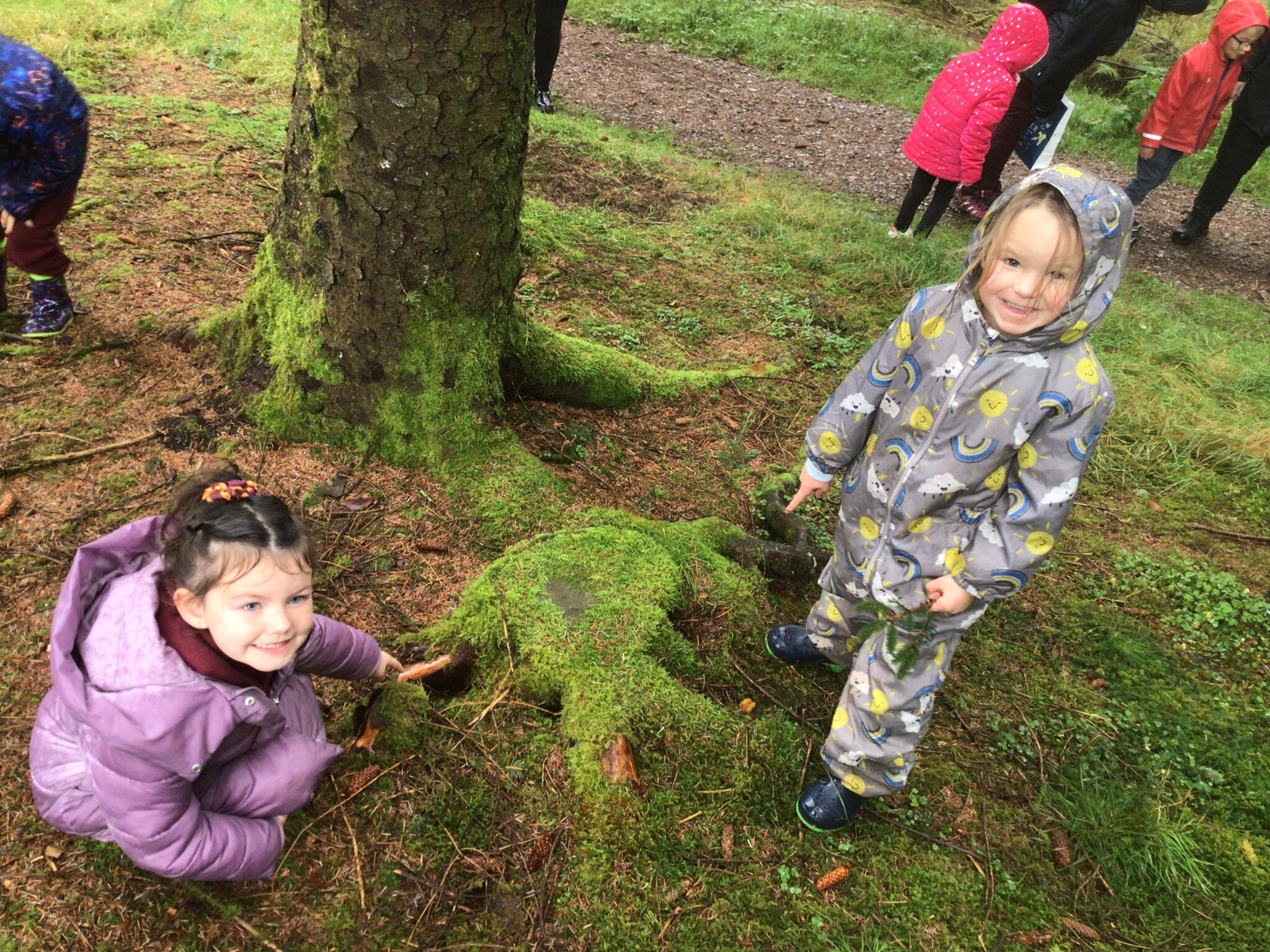 Image of Year 1 Explore Seasons at Whinlatter 