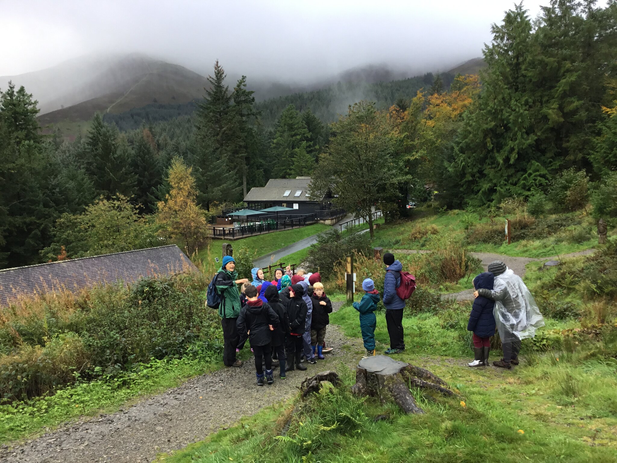 Image of Whinlatter Habitats 2023