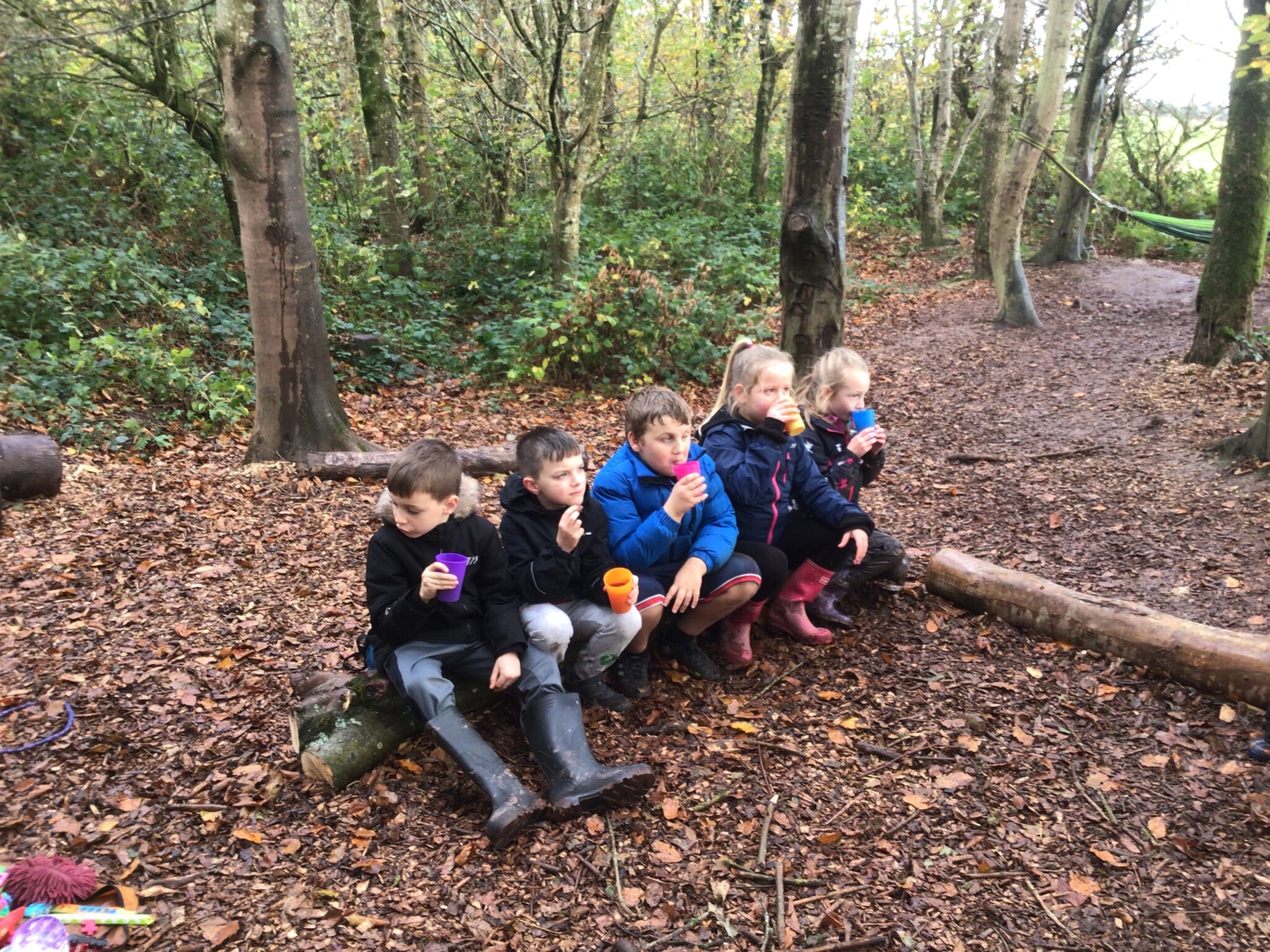 Image of Year 3 enjoyed their first Forest School