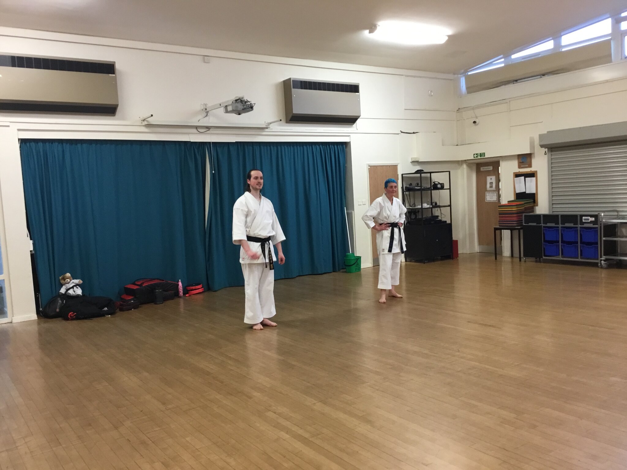 Image of Karate Taster Session Y6