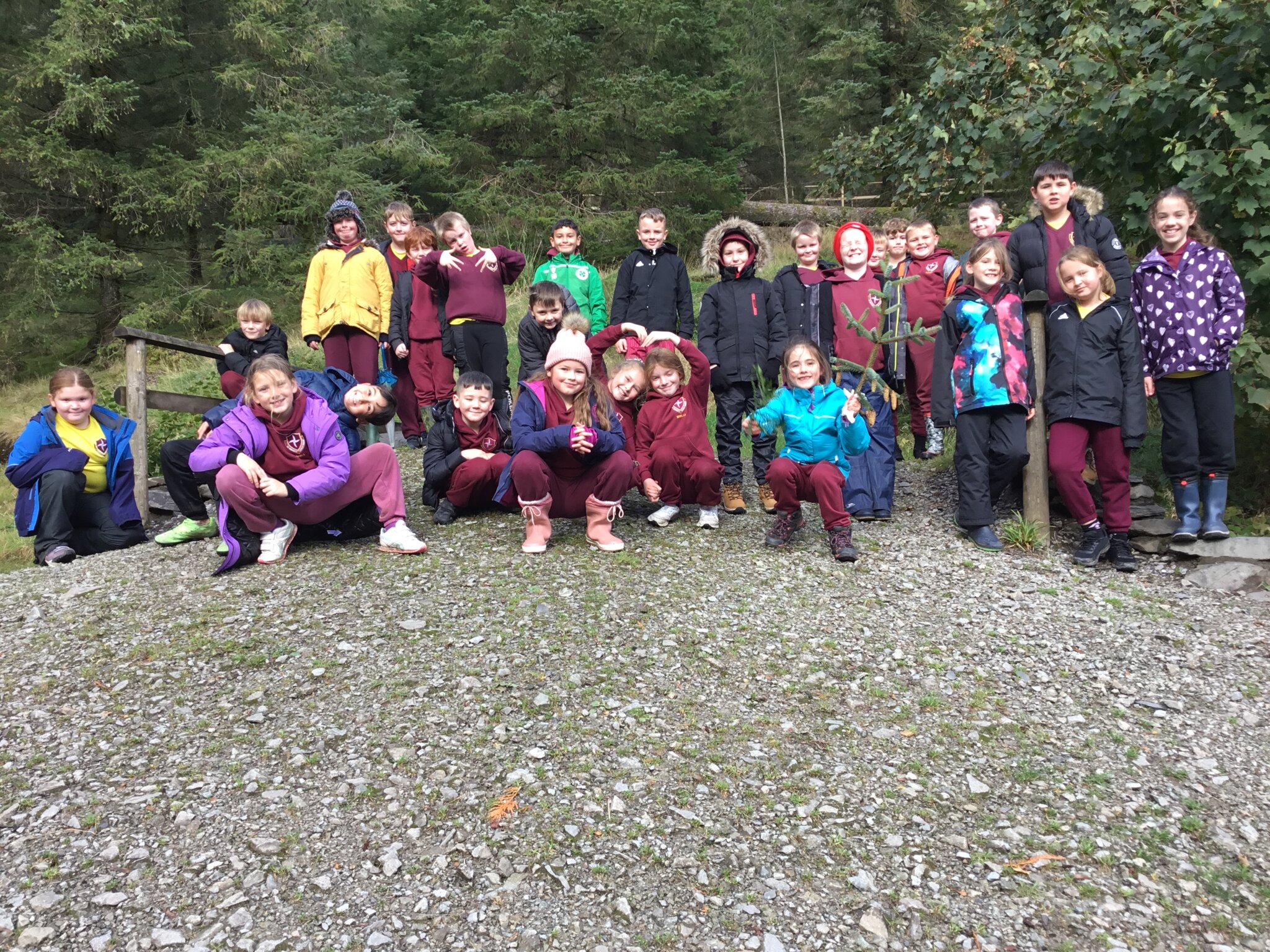 Image of Living things in their Habitat at Whinlatter Forest 