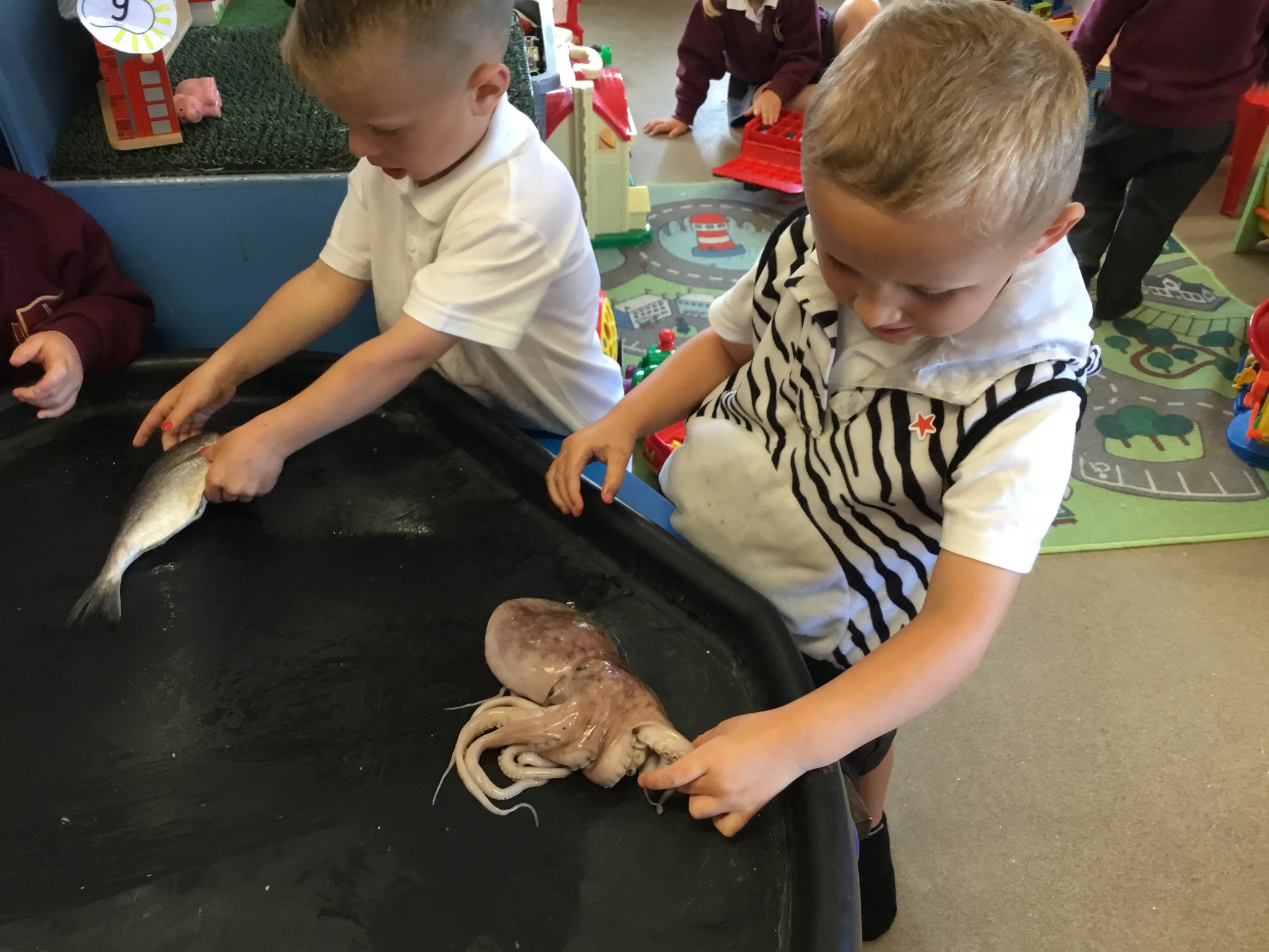 Image of Nursery exploring sea creatures