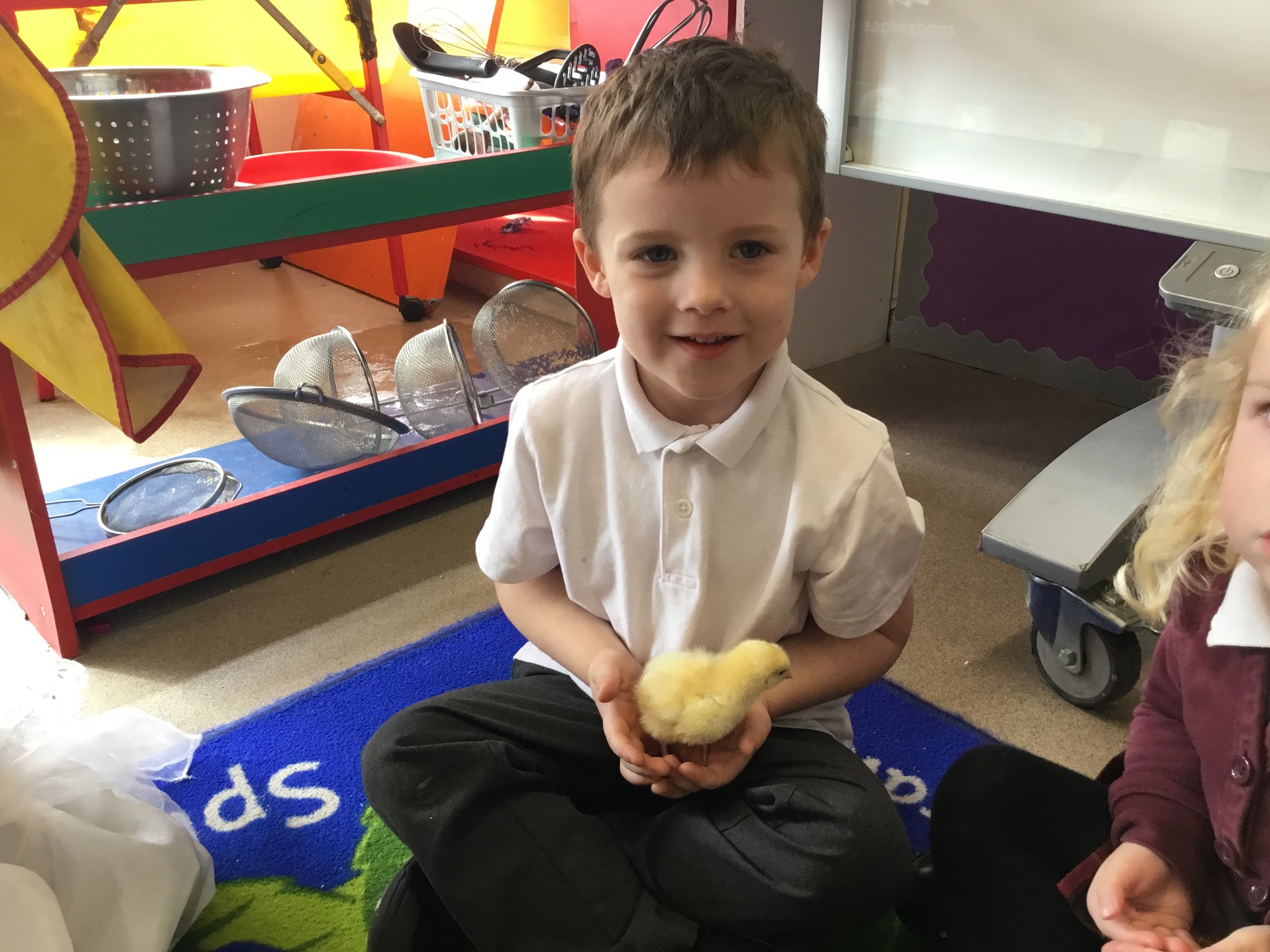 Image of Nursery’s week of chick fun