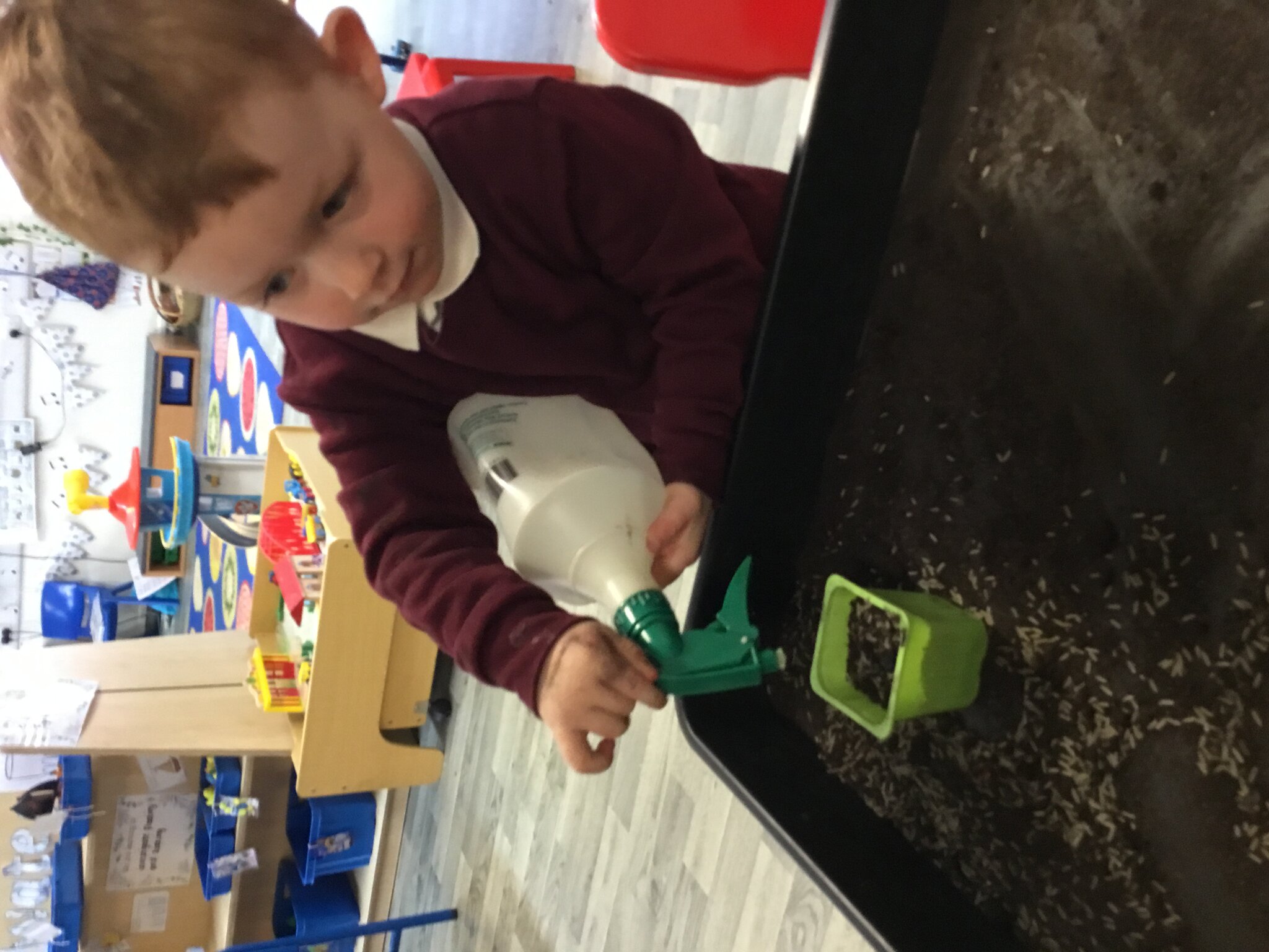 Image of Planting Seeds in Nursery