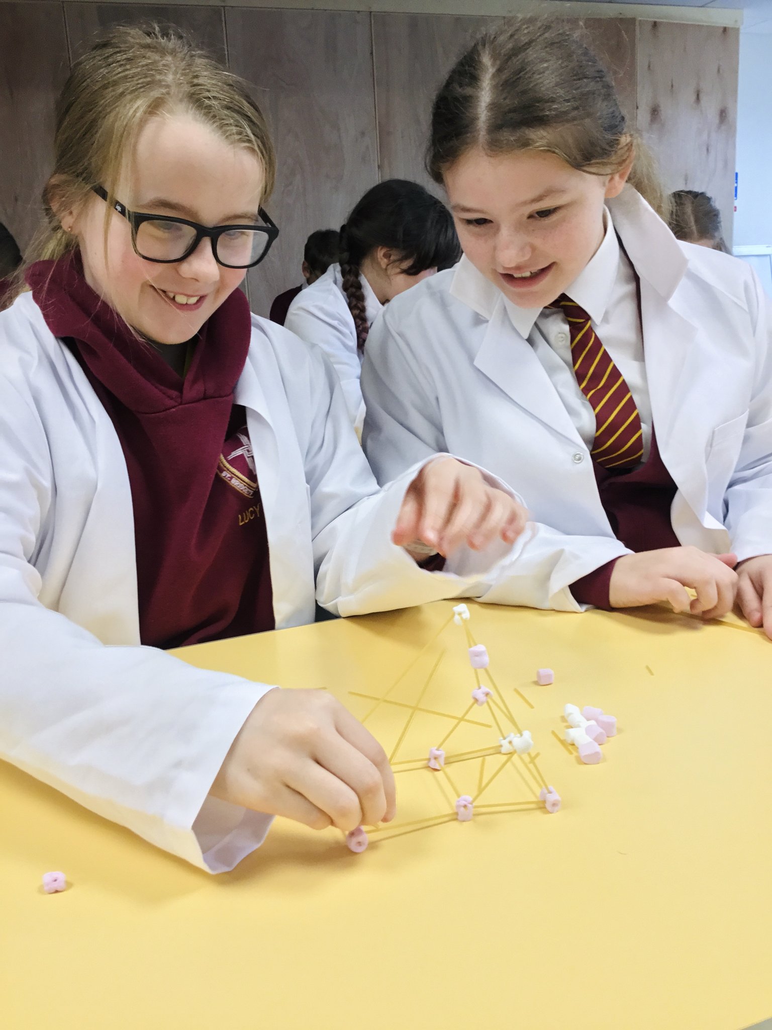 Image of Y6 Science Week