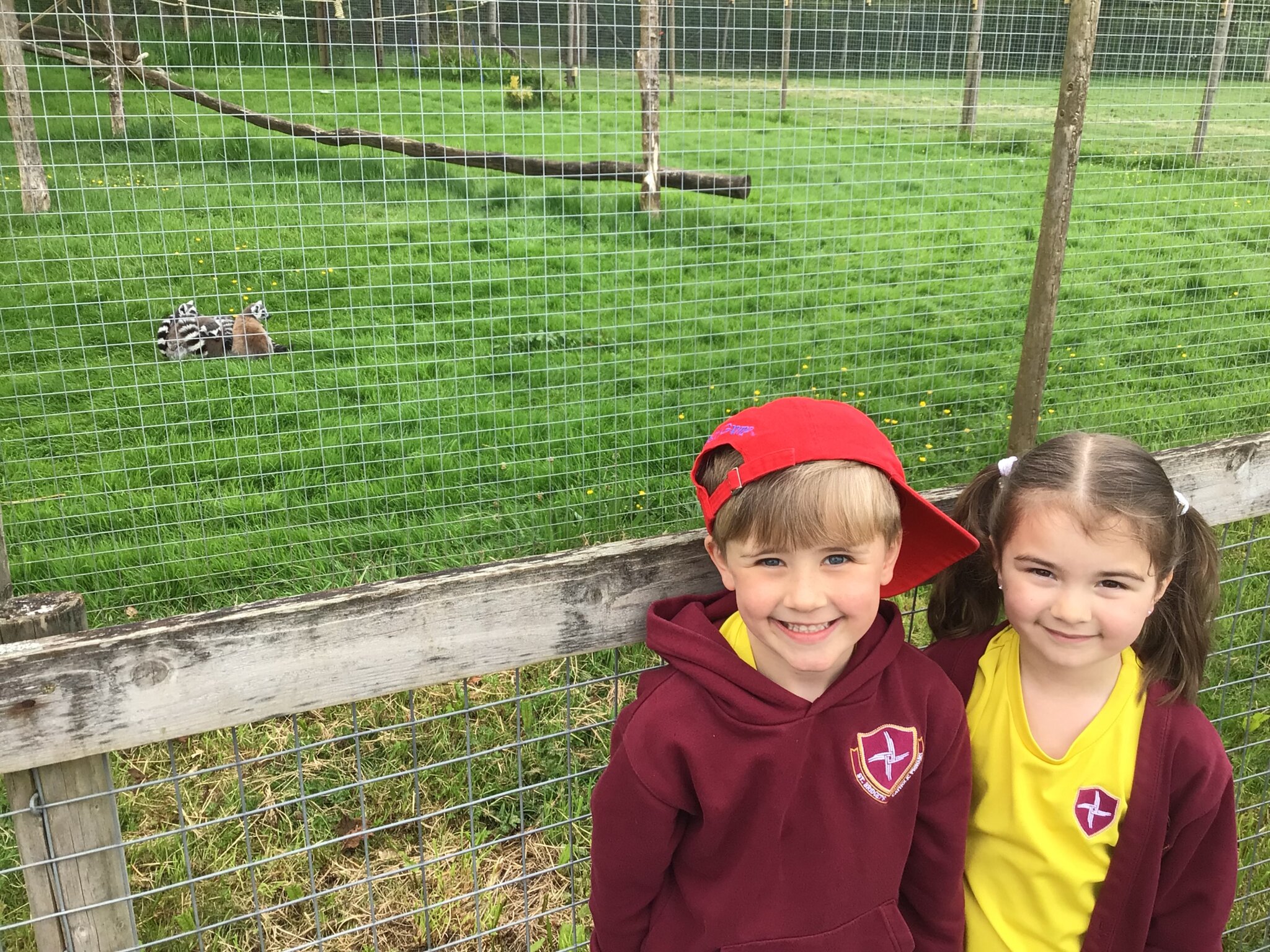 Image of Wild About Wildlife in Year 1