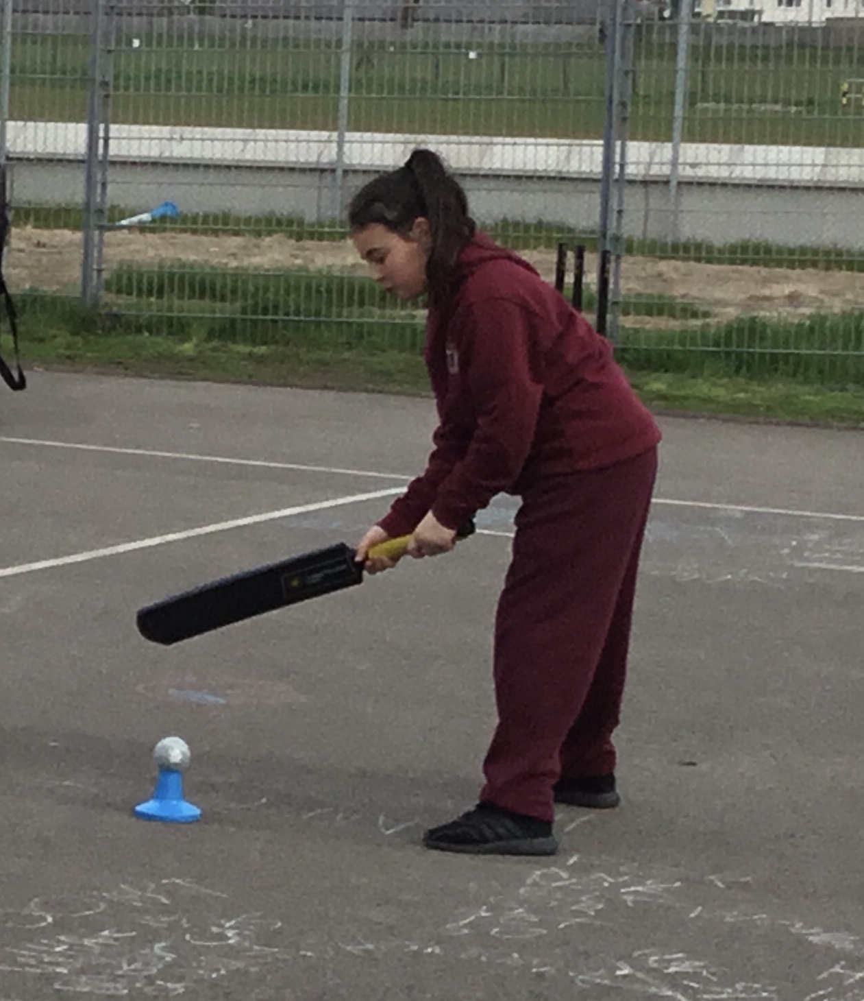 Image of Year 5 Cricket