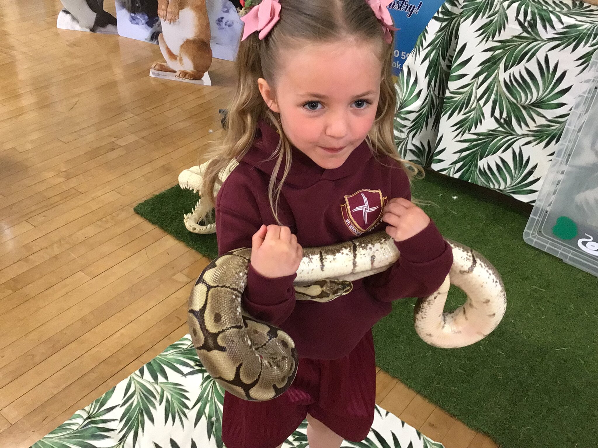 Image of Pet encounter visit in Reception