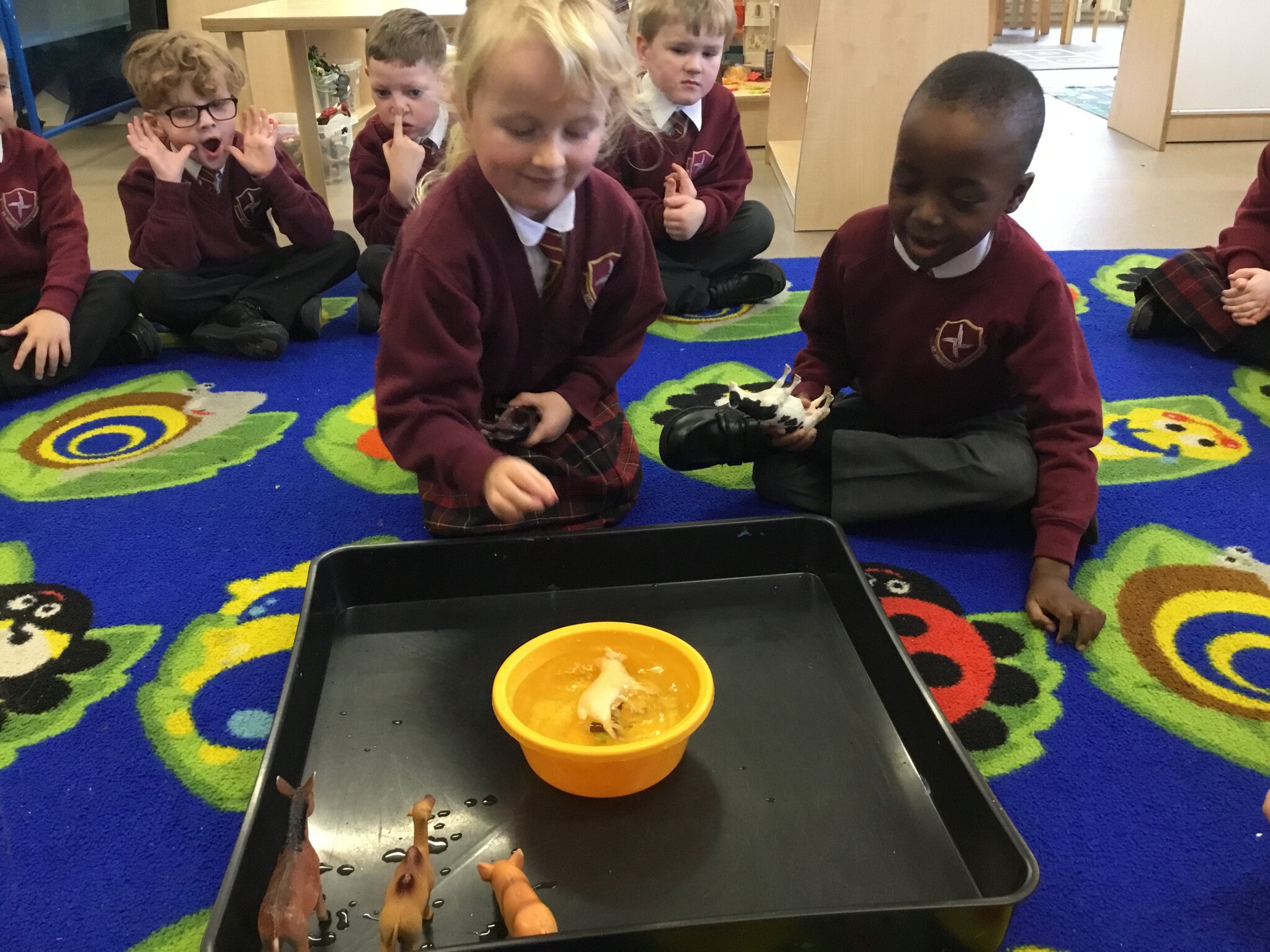 Image of Reception Science week 2022