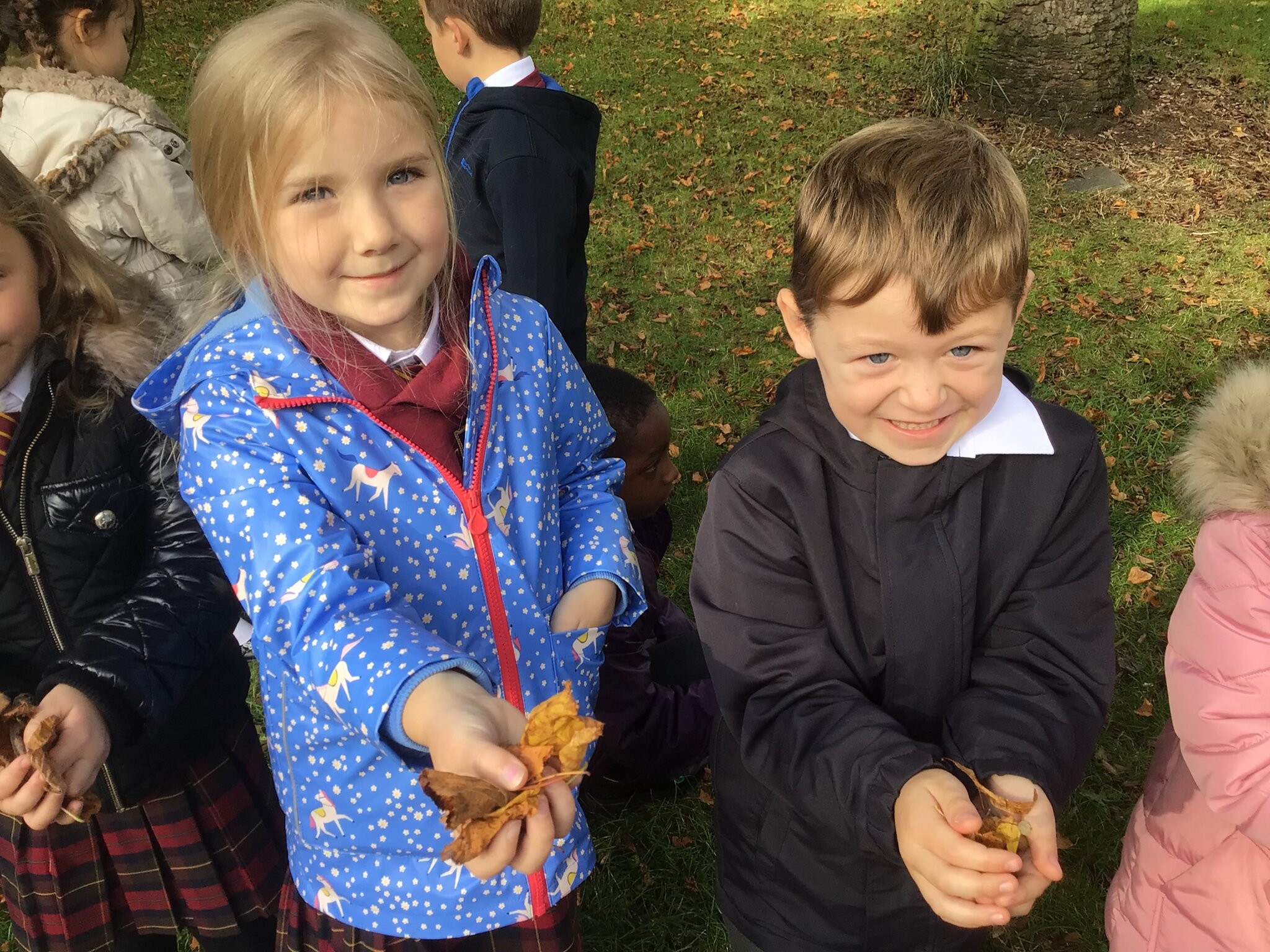 Image of Signs of Autumn in our Local Area