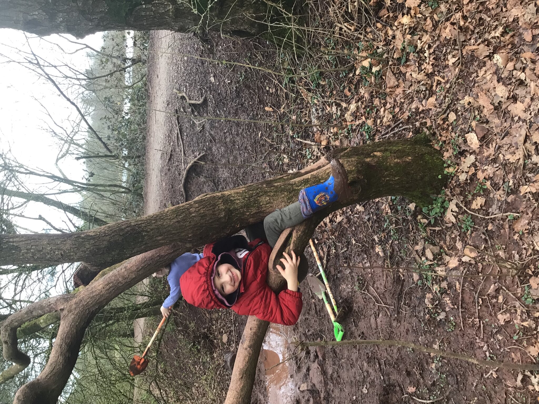 Image of Y1 Forest School Fun