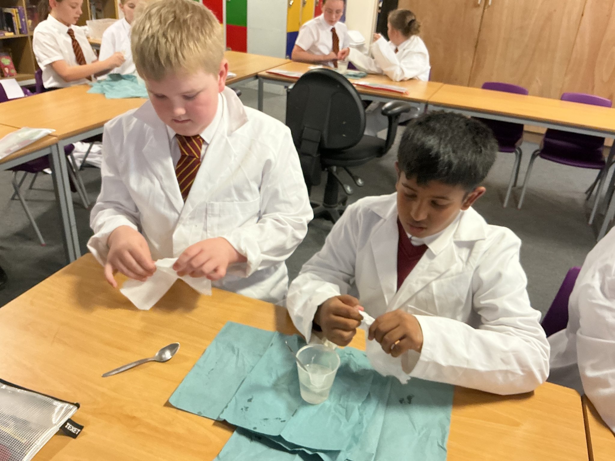 Image of Year 5 Science Experiment