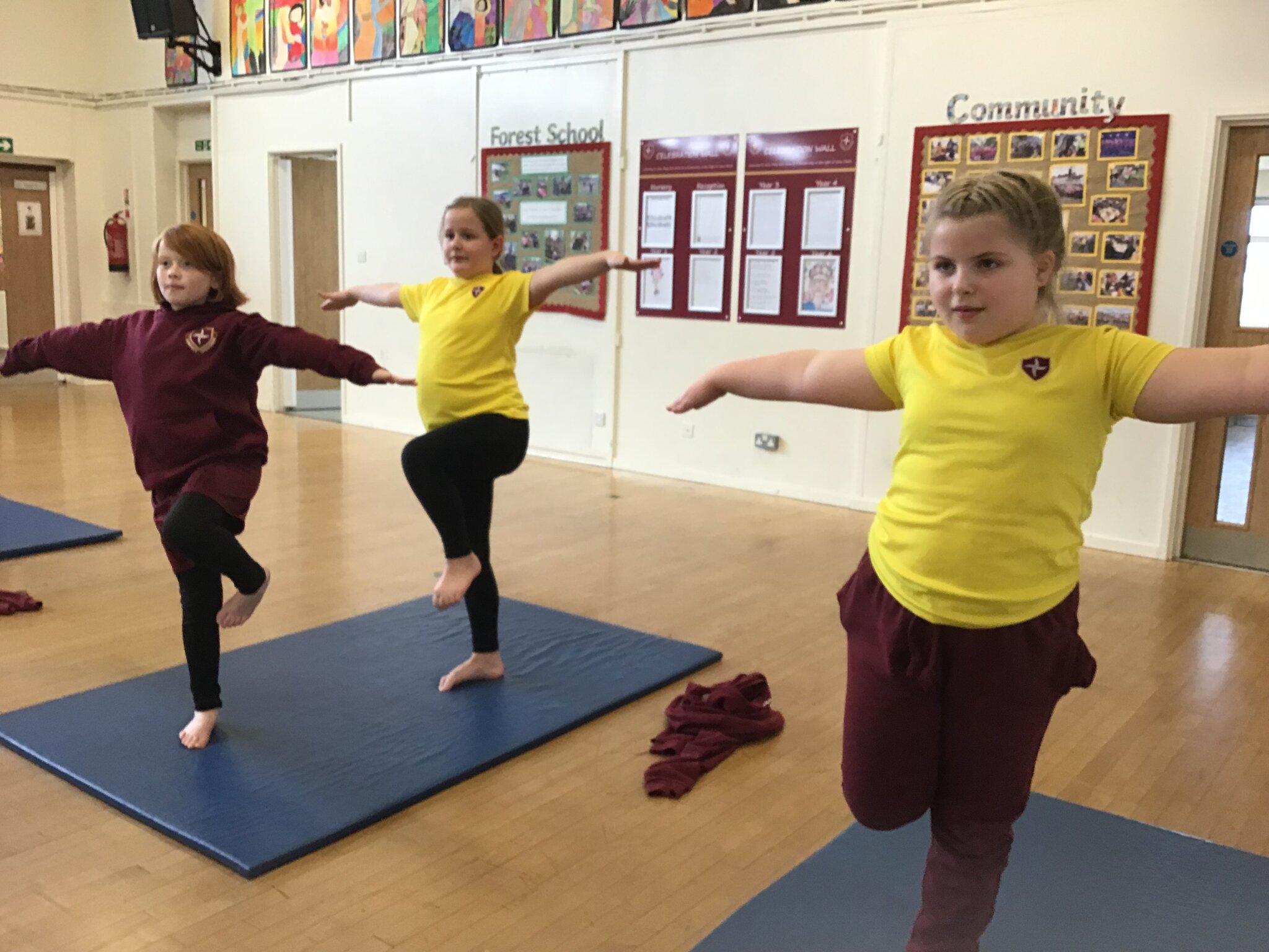 Year 4 Gymnastics 