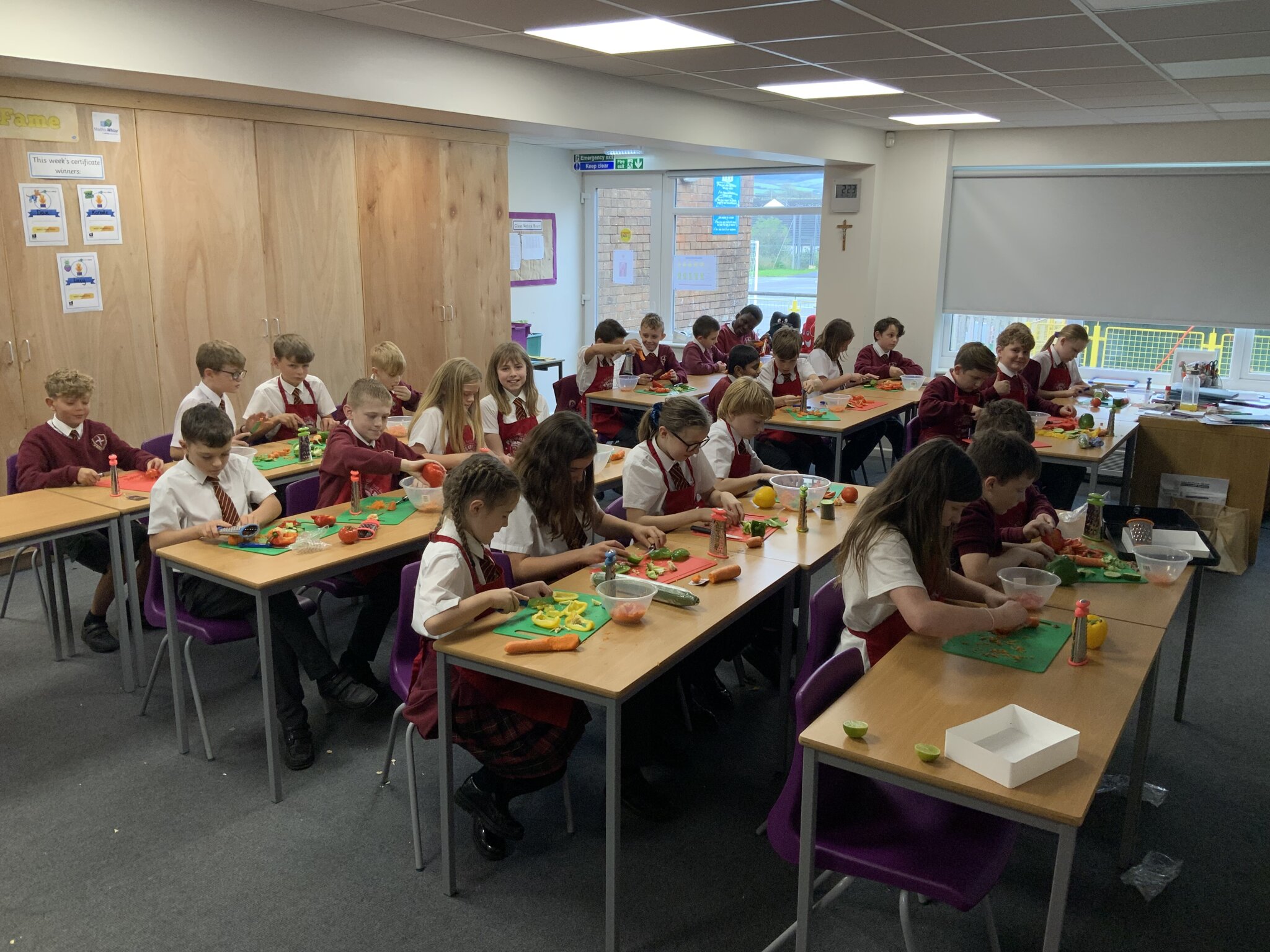 Image of Y6 Food Technology - Burritos