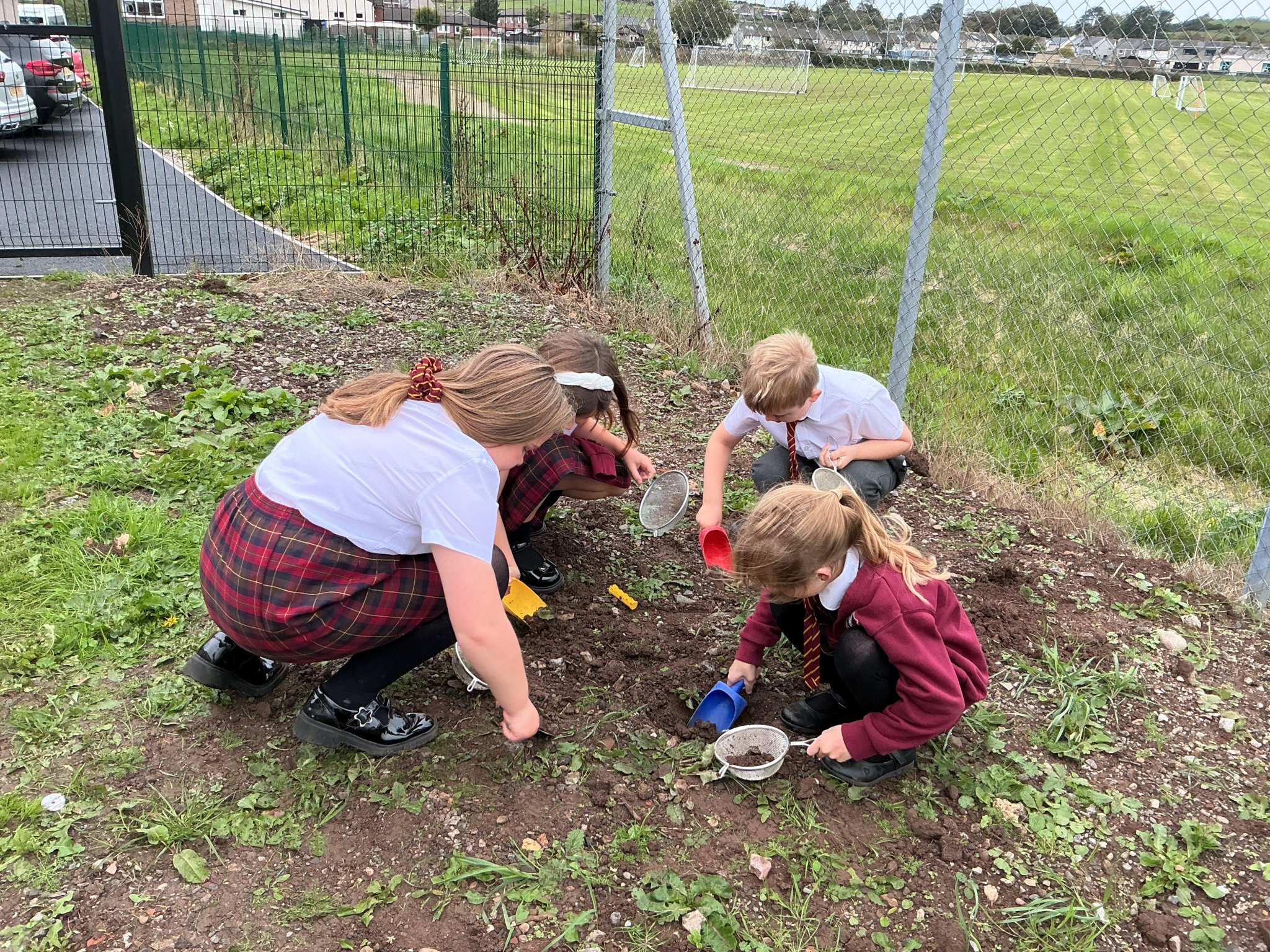 Image of Year 3 Soil Sample Explorations