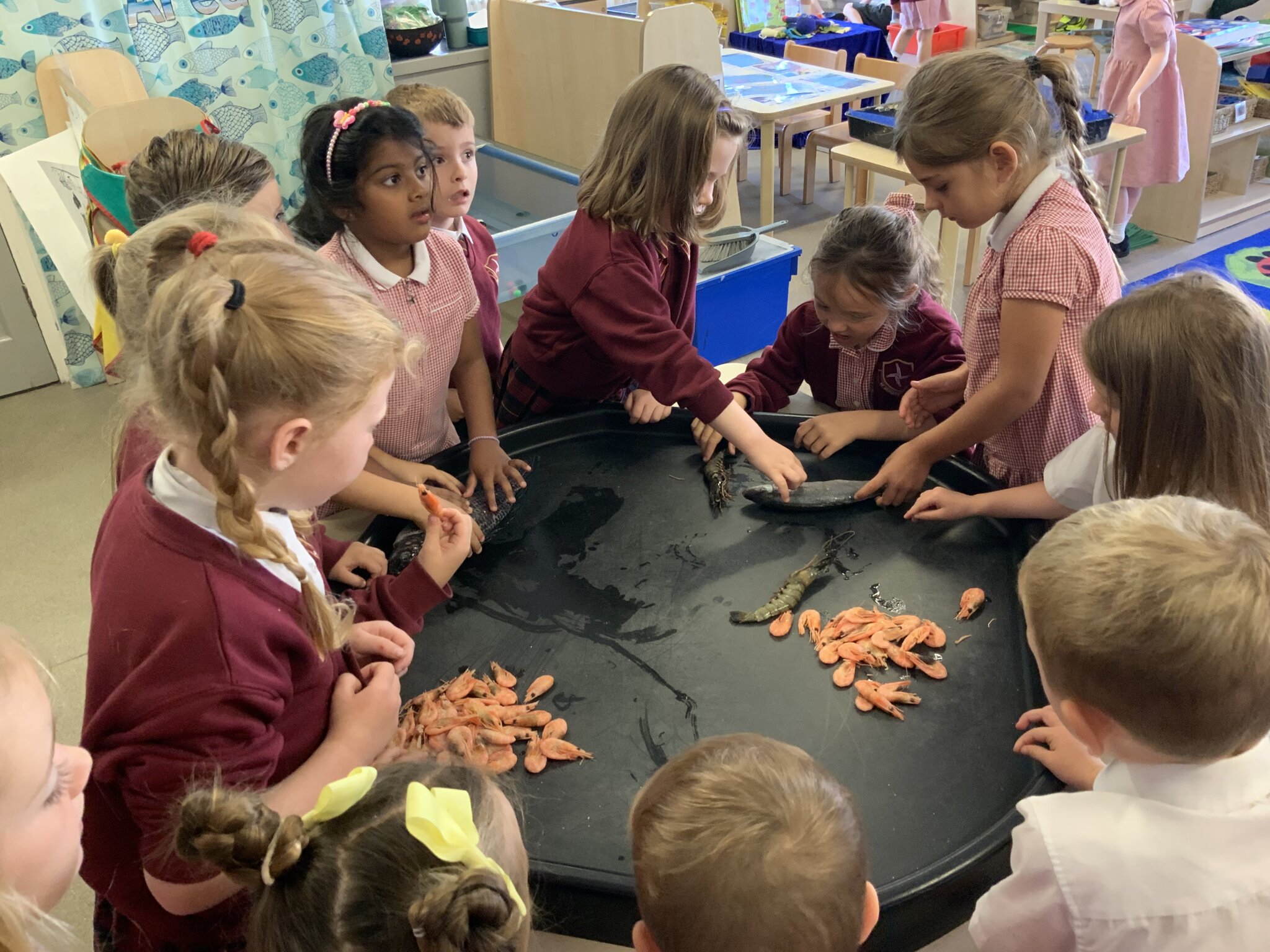 Image of Exploring sea creatures in Reception 