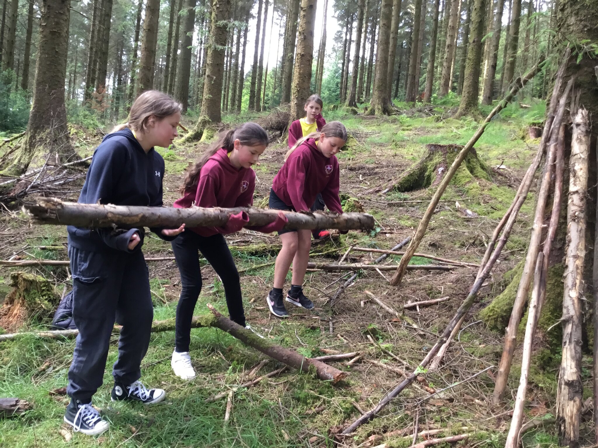 Image of Y5 Orienteering and Den Building at Whinlatter