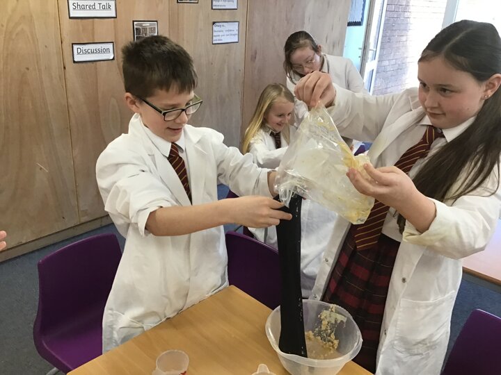 Image of Year 4 Exploring The Digestive System