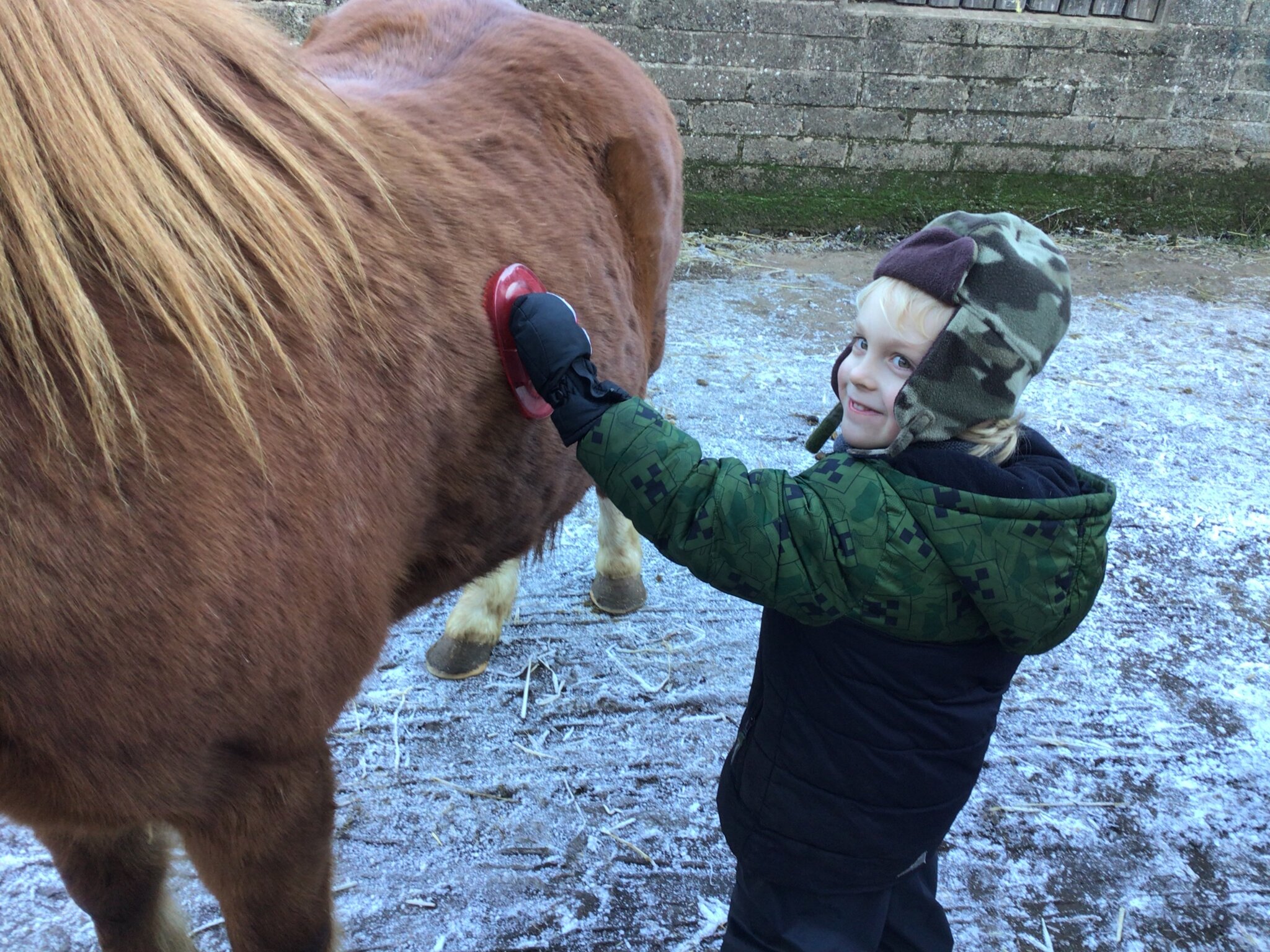 Image of Reception visiting Pony pals