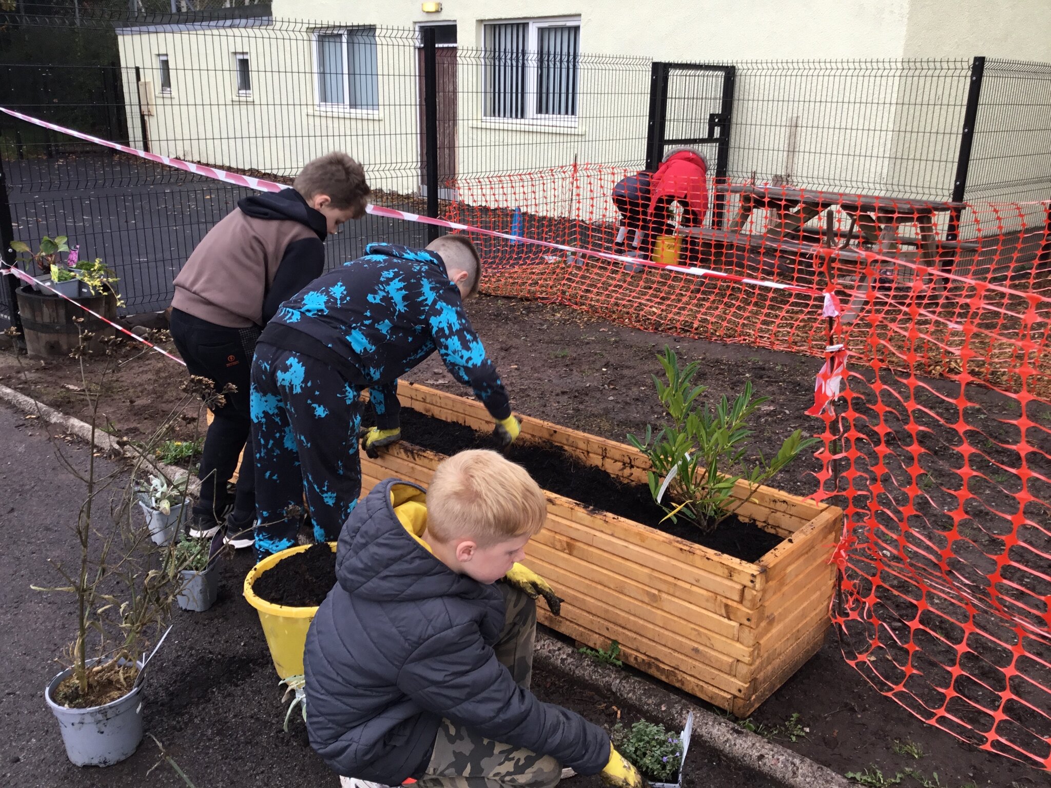 Image of Year 5 Gardening