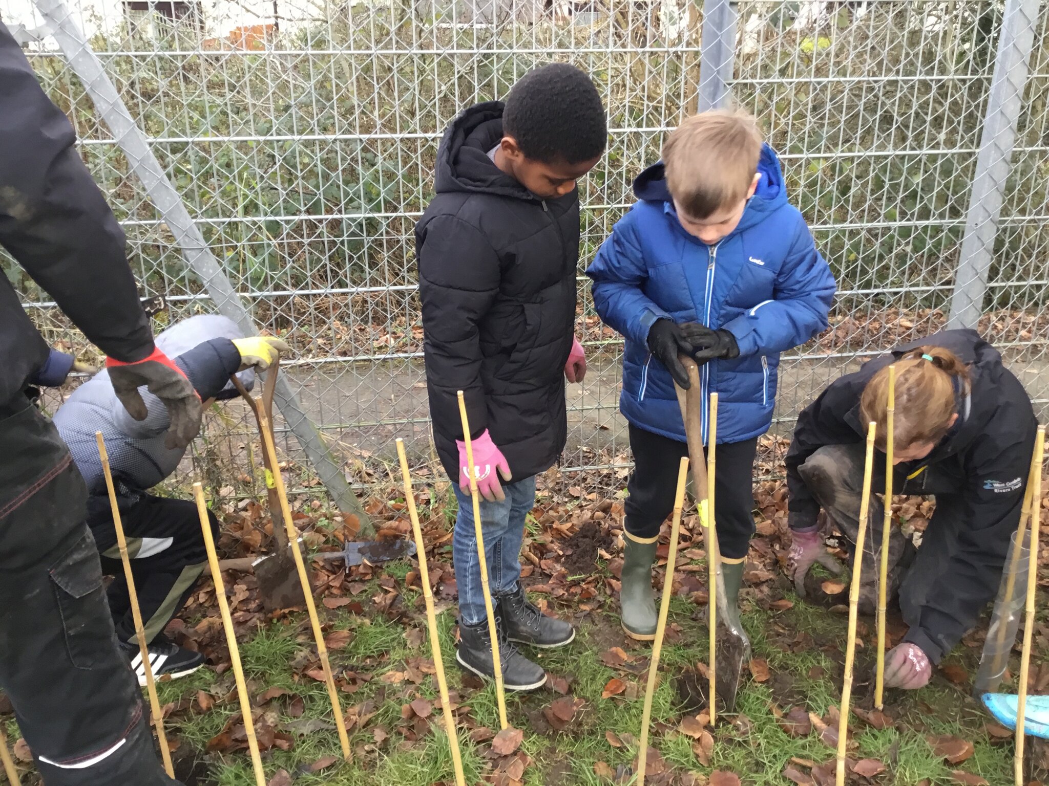 Image of Year 5 Tree Planting