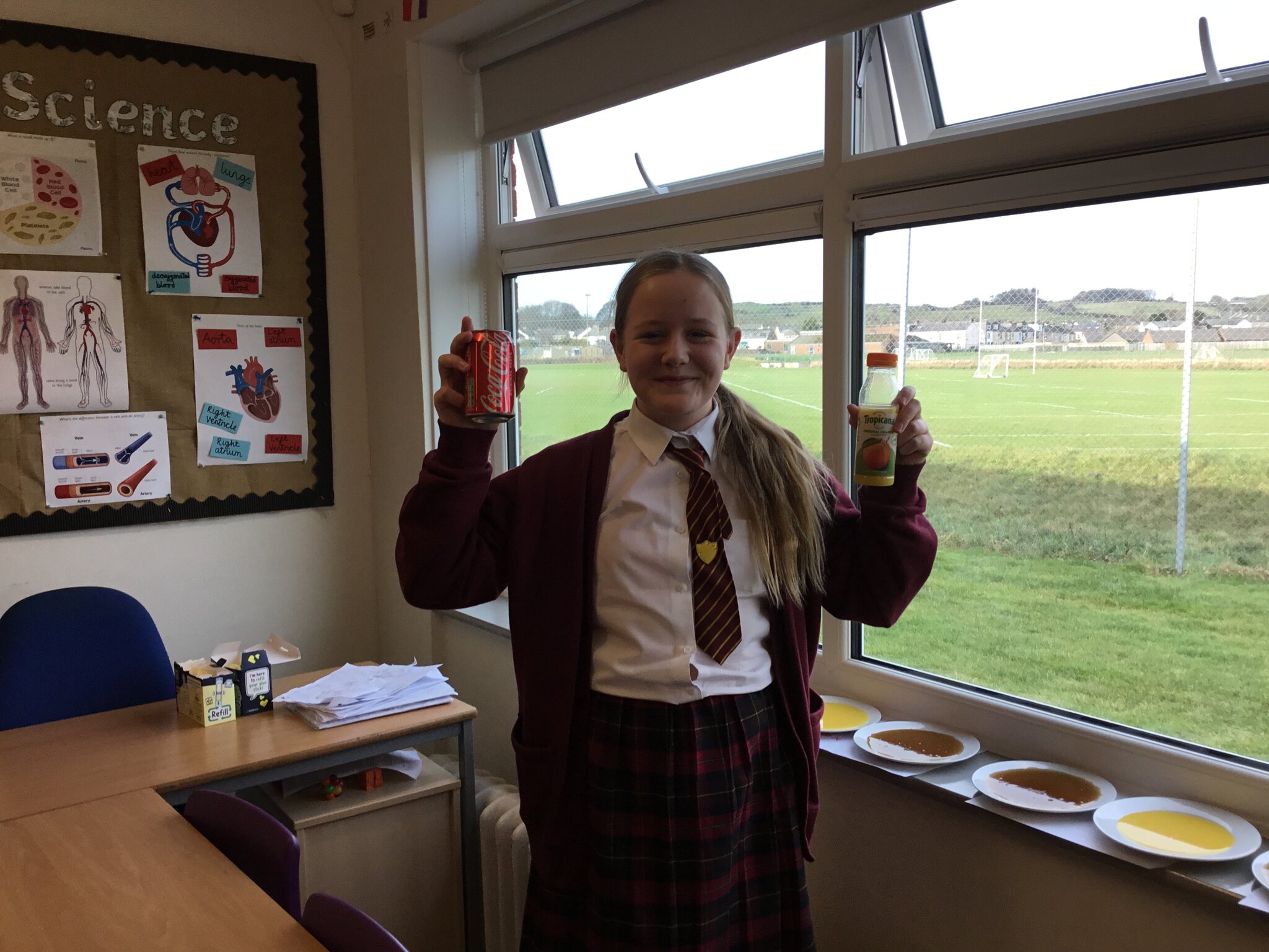 Image of Investigating Sugar