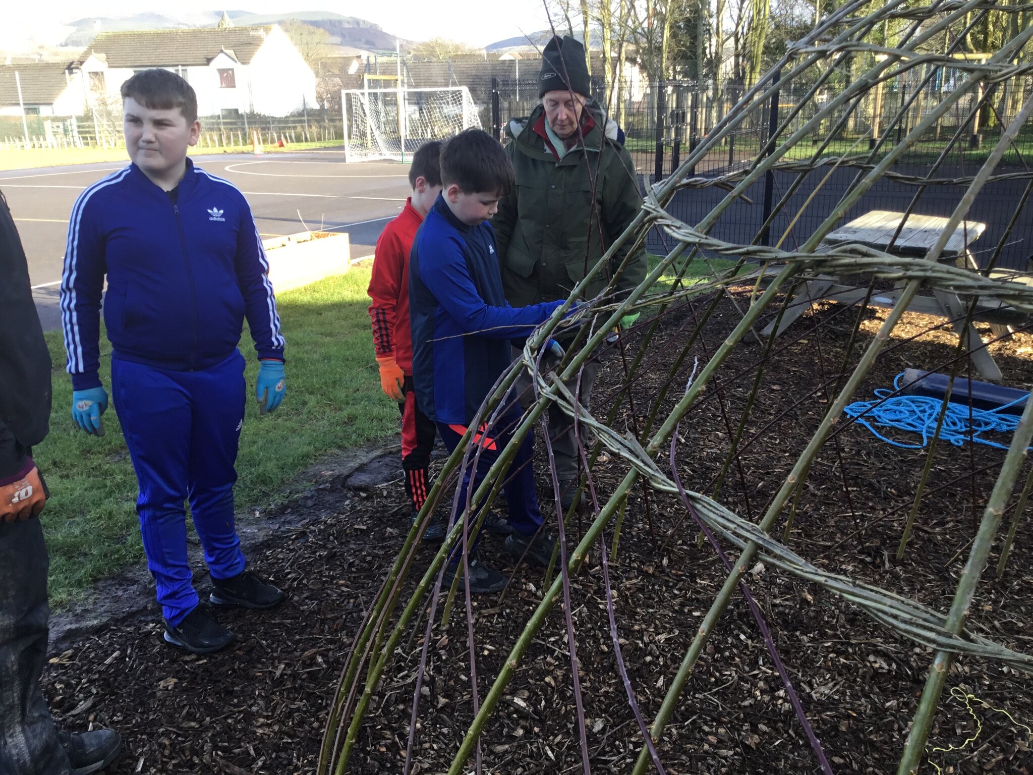 Image of Building the Willow Hide 