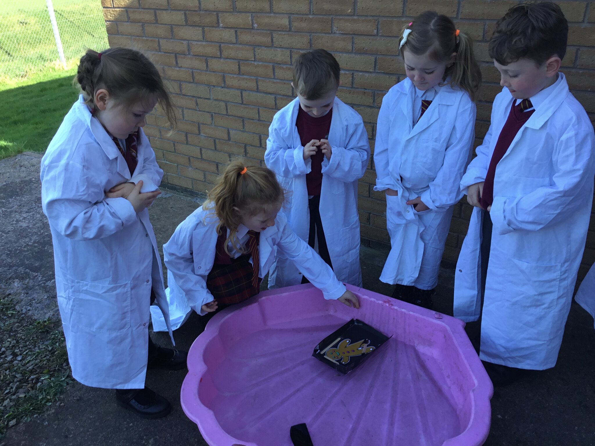Image of Year One Science Week 