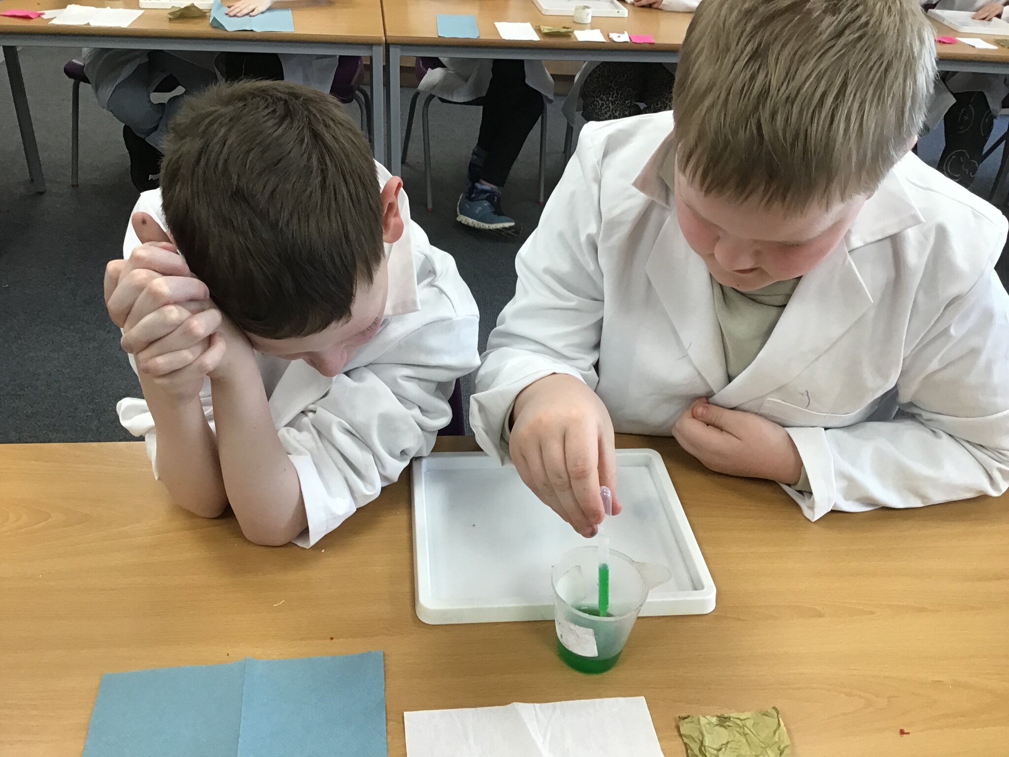 Image of Year 4 Celebrate British Science Week