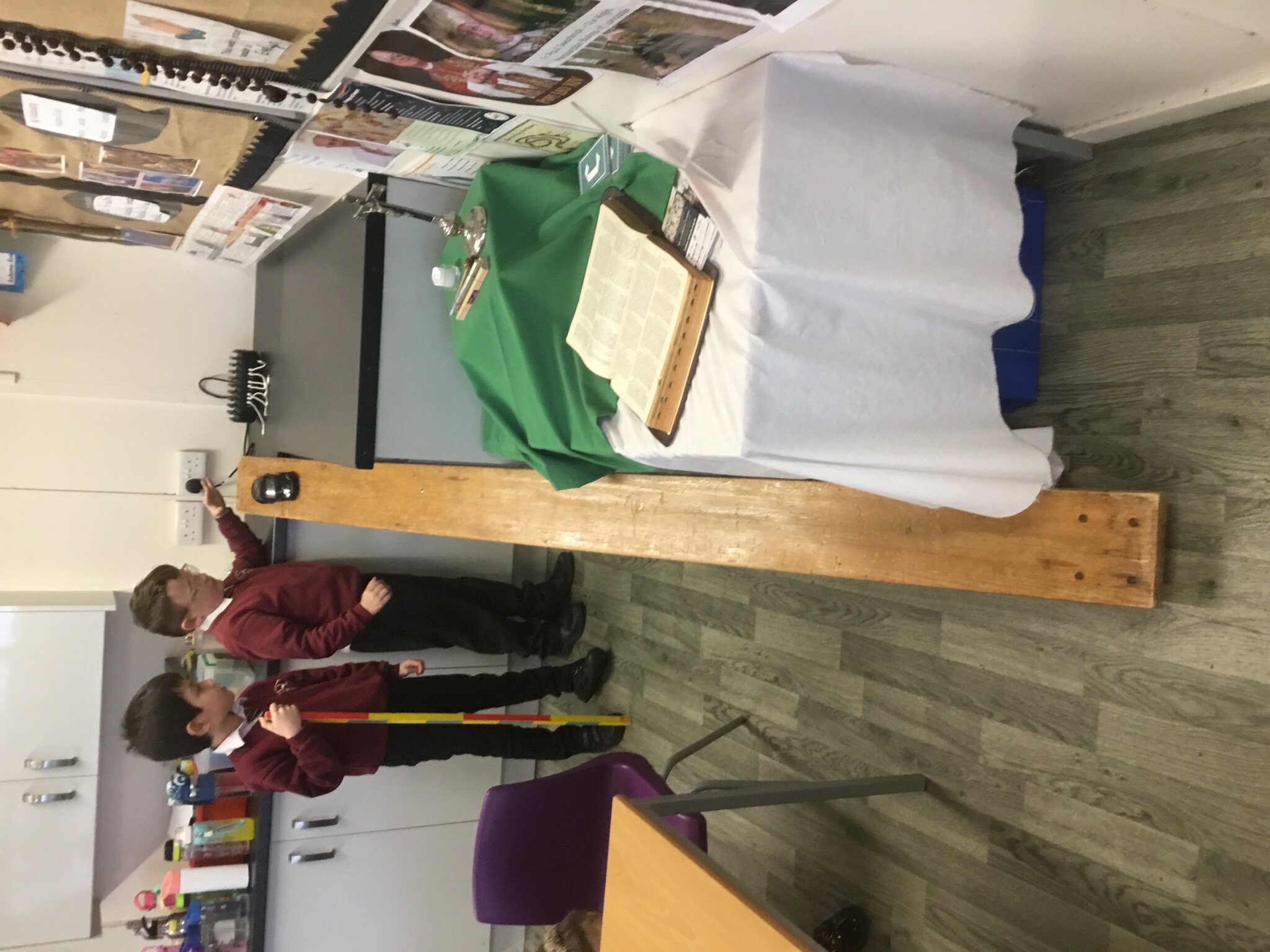 Image of Year 3 Science Investigation 